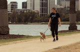 How to use your FY Active 6-in-1 Dog Lead