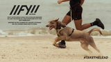 Introducing FY Active!