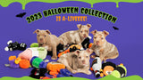 Halloween Essentials for your Dog in 2023