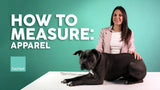 How To Measure Your Pet For FuzzYard Apparel