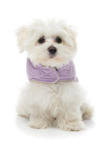 FuzzYard Life Wrap Vest - Lilac