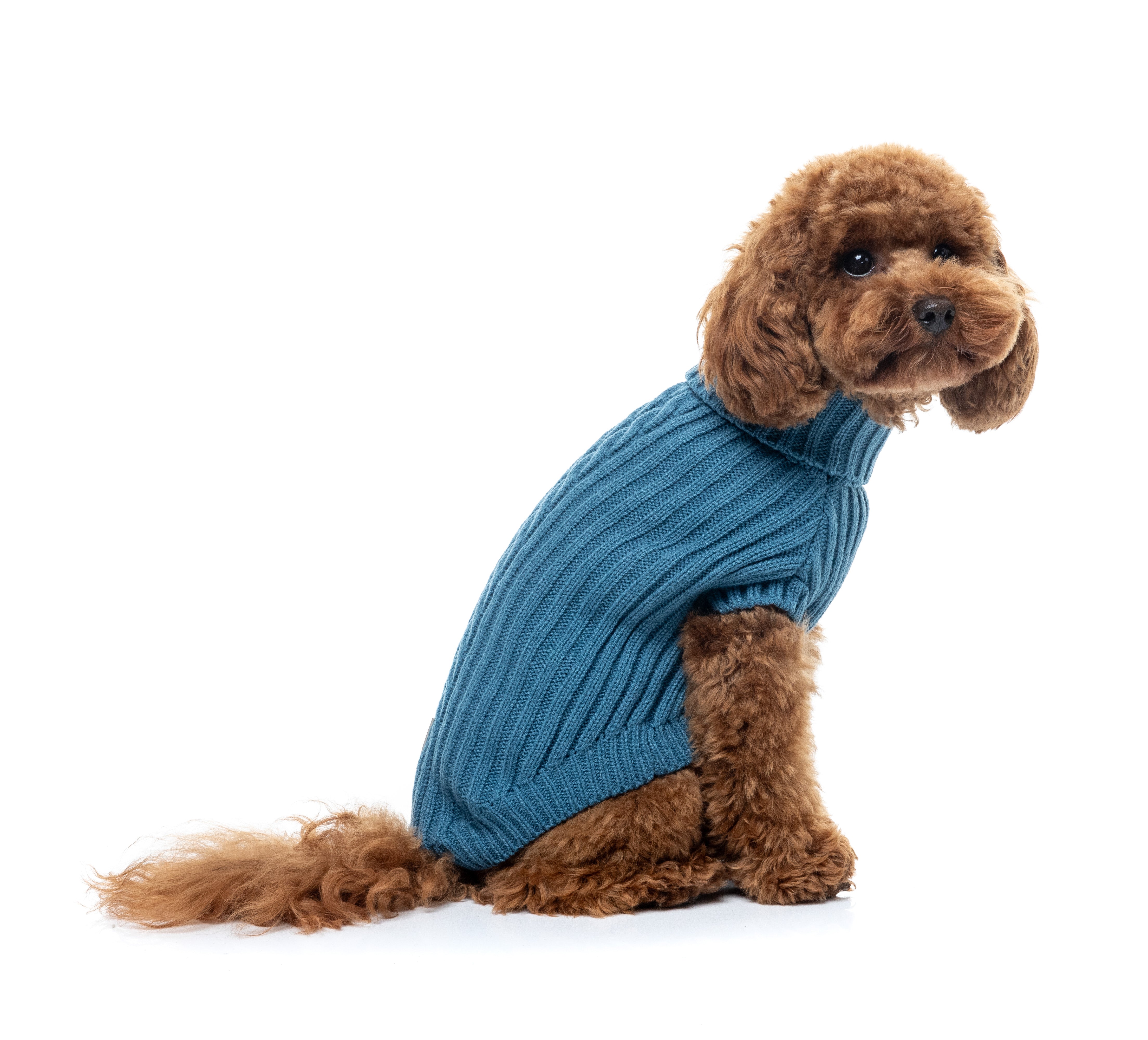 FuzzYard Life Knitted Sweater - French Blue