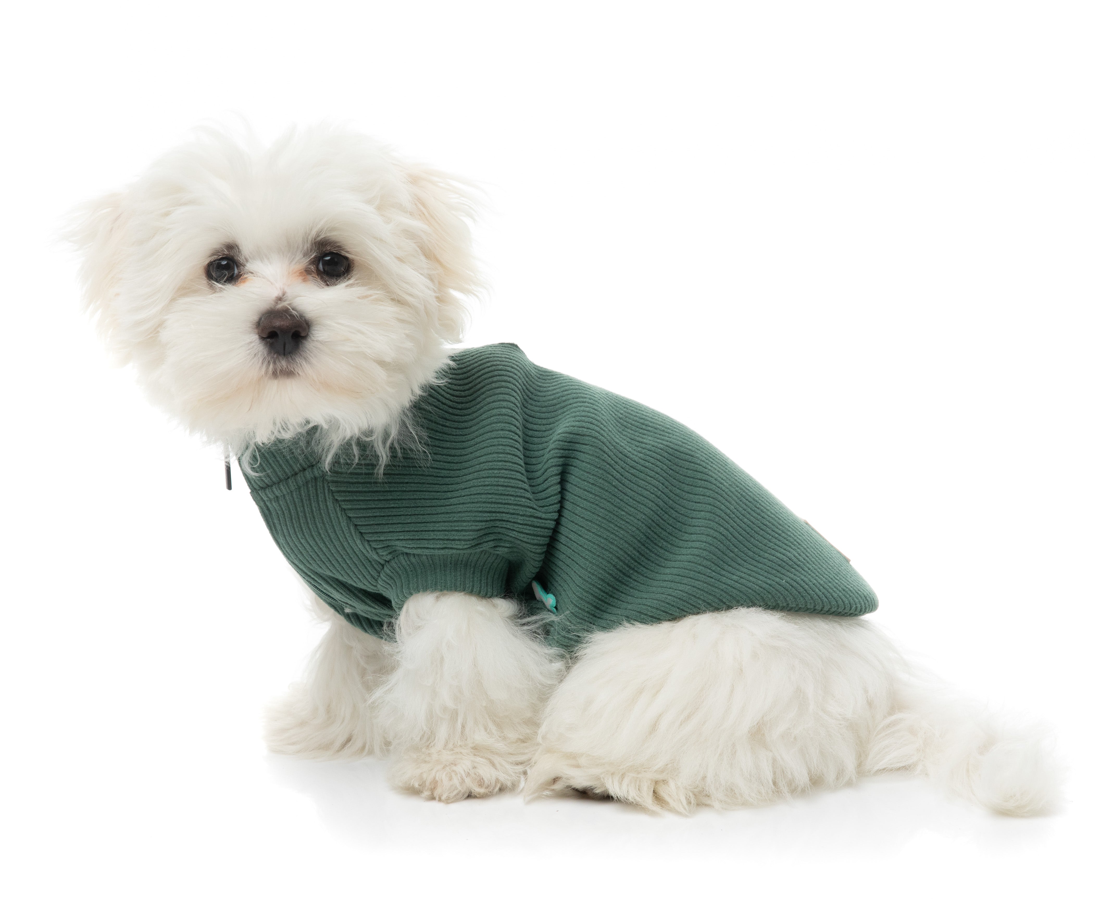 FuzzYard Life Ribbed Sweater - Myrtle Green