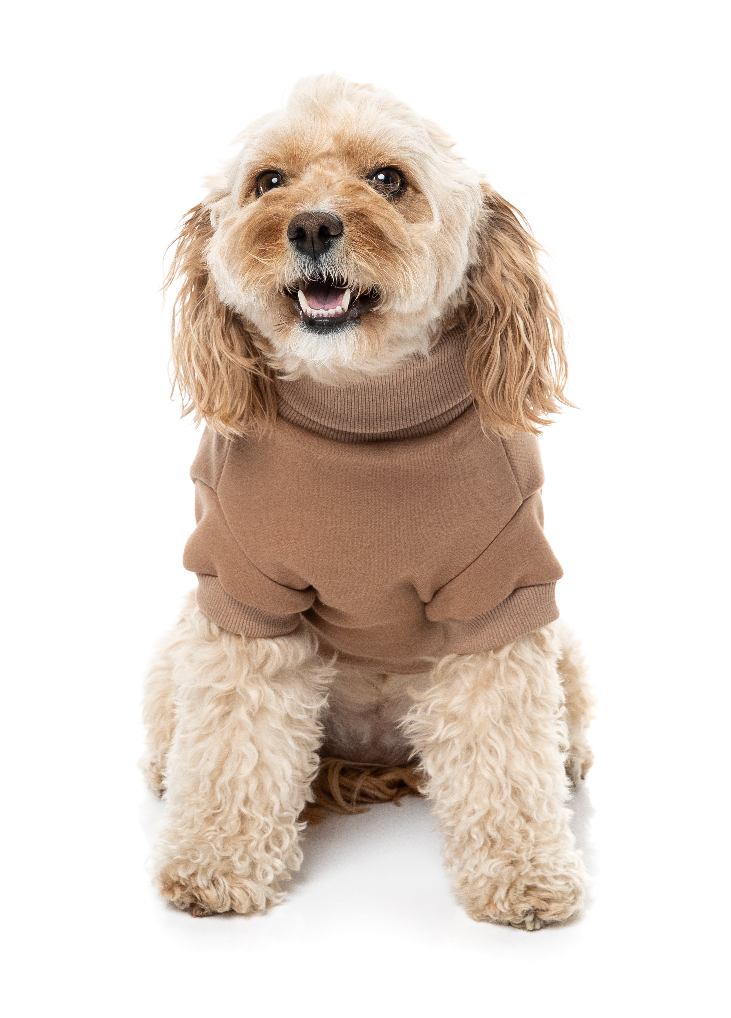 Stevie Sweater 26 - Latte