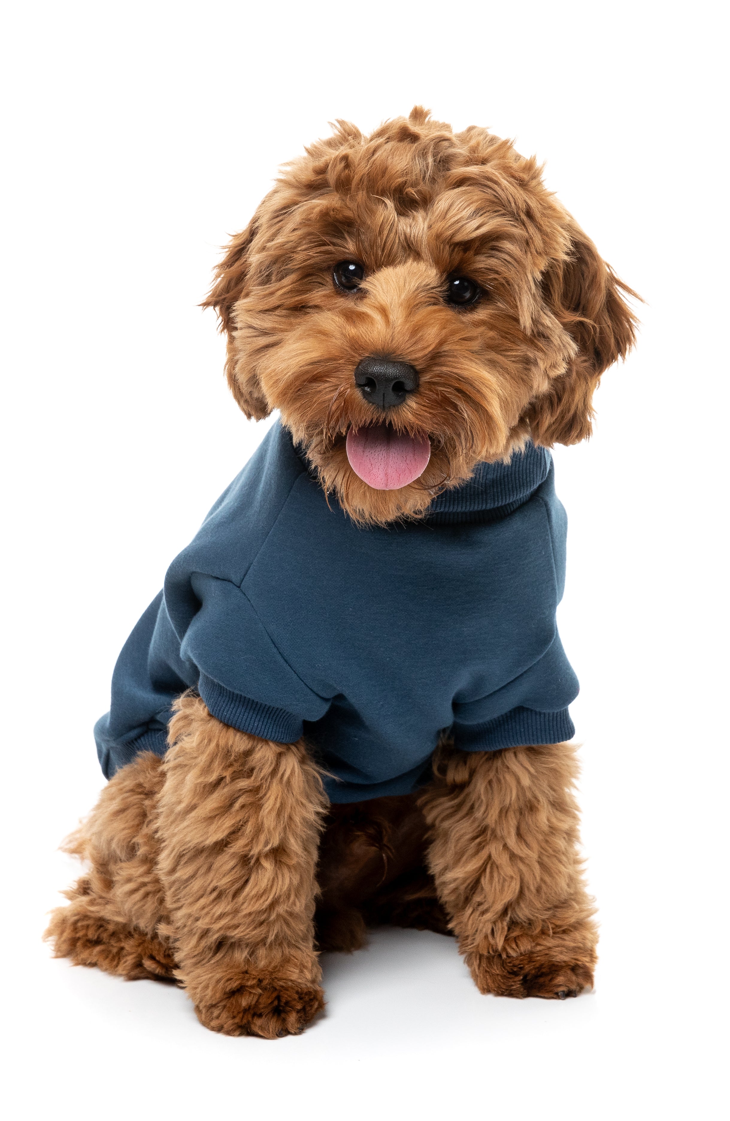 Stevie Sweater 26 - Navy