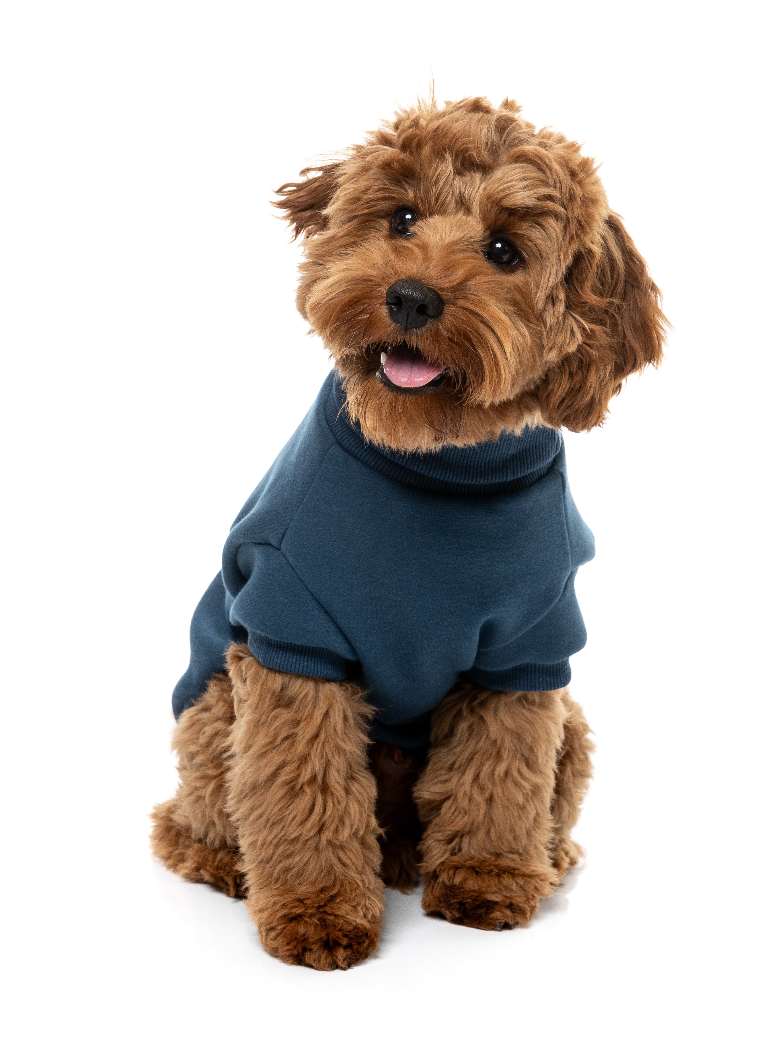 Stevie Sweater 26 - Navy