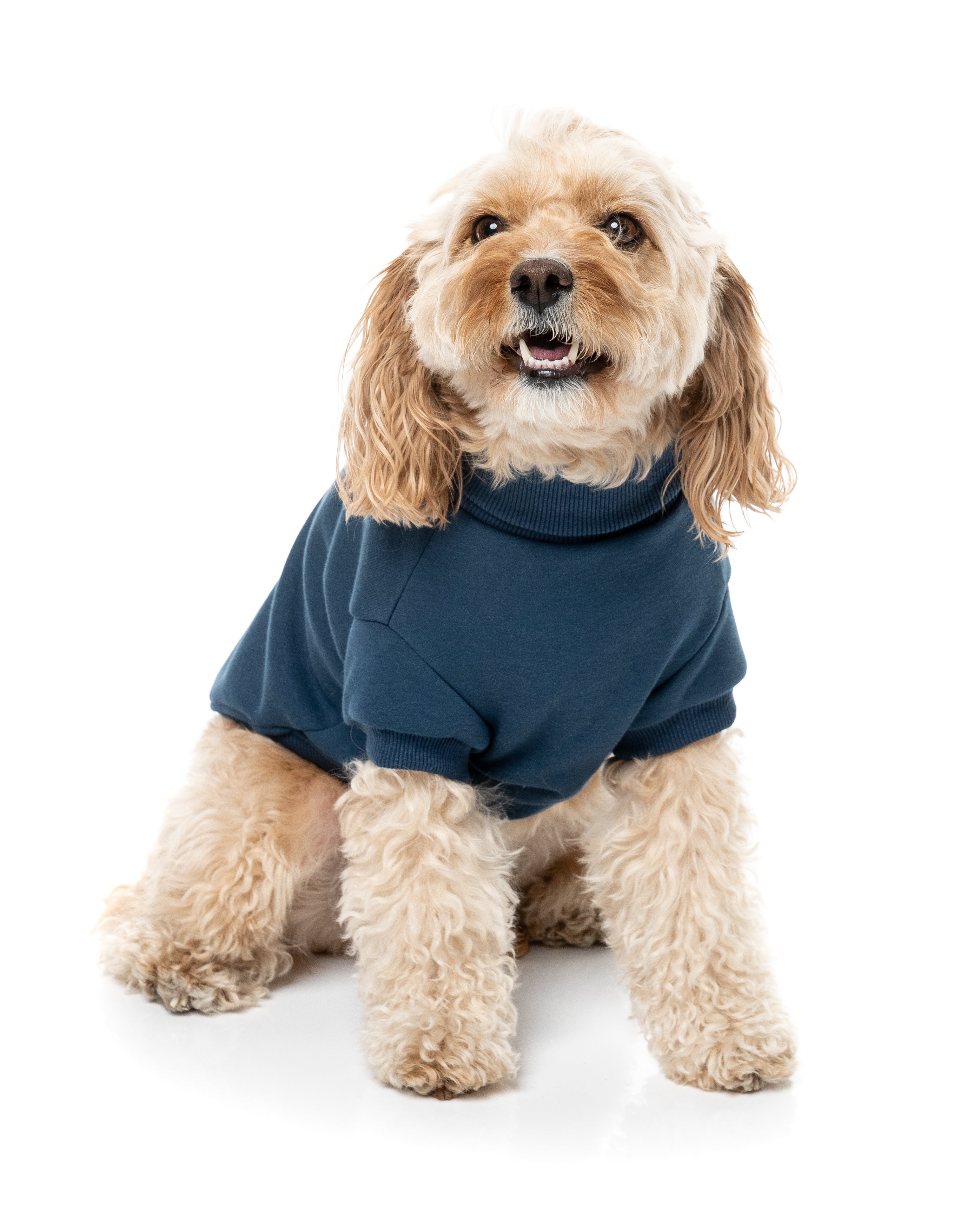 Stevie Sweater 26 - Navy