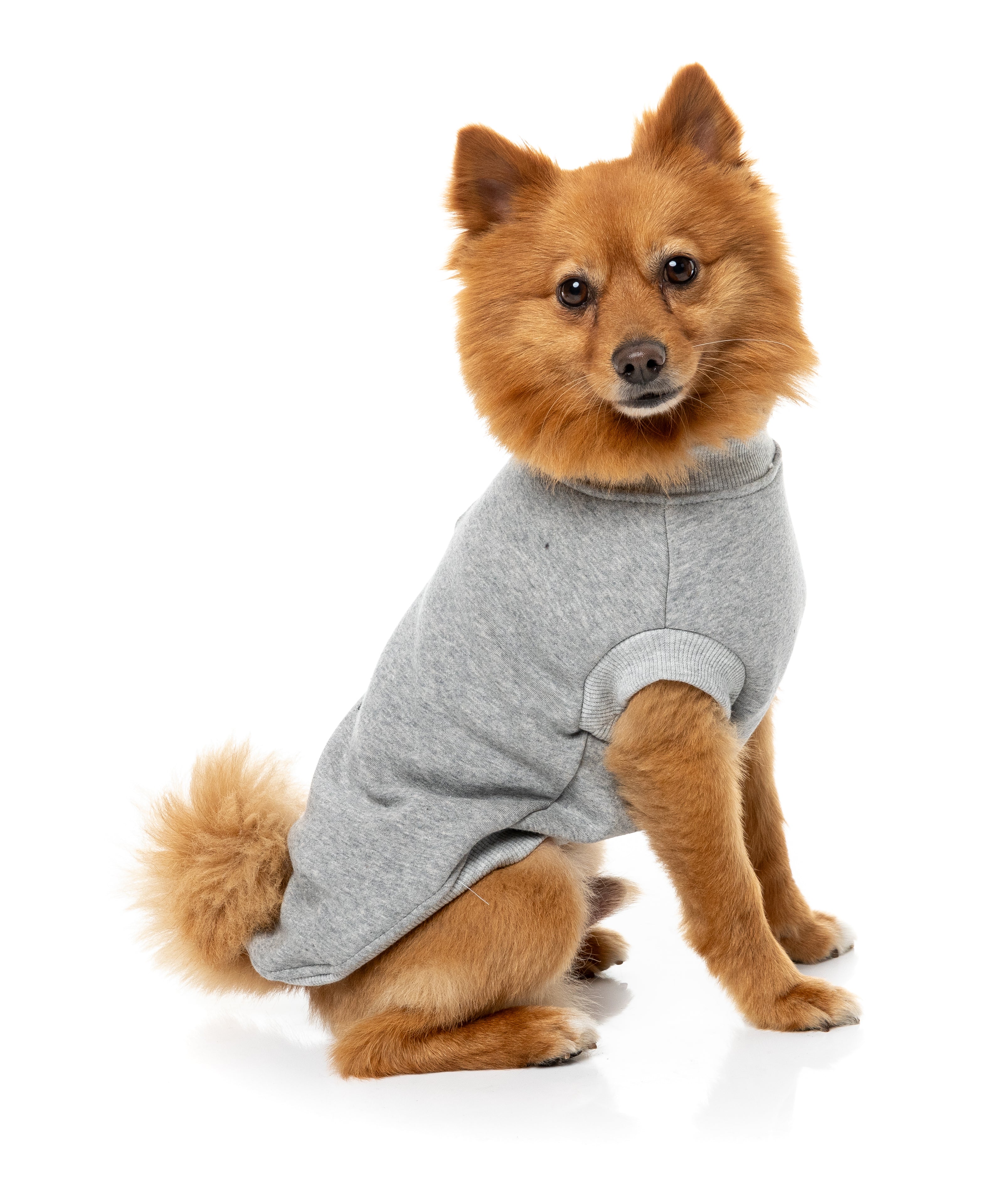 Allday Sweater 26 - Grey