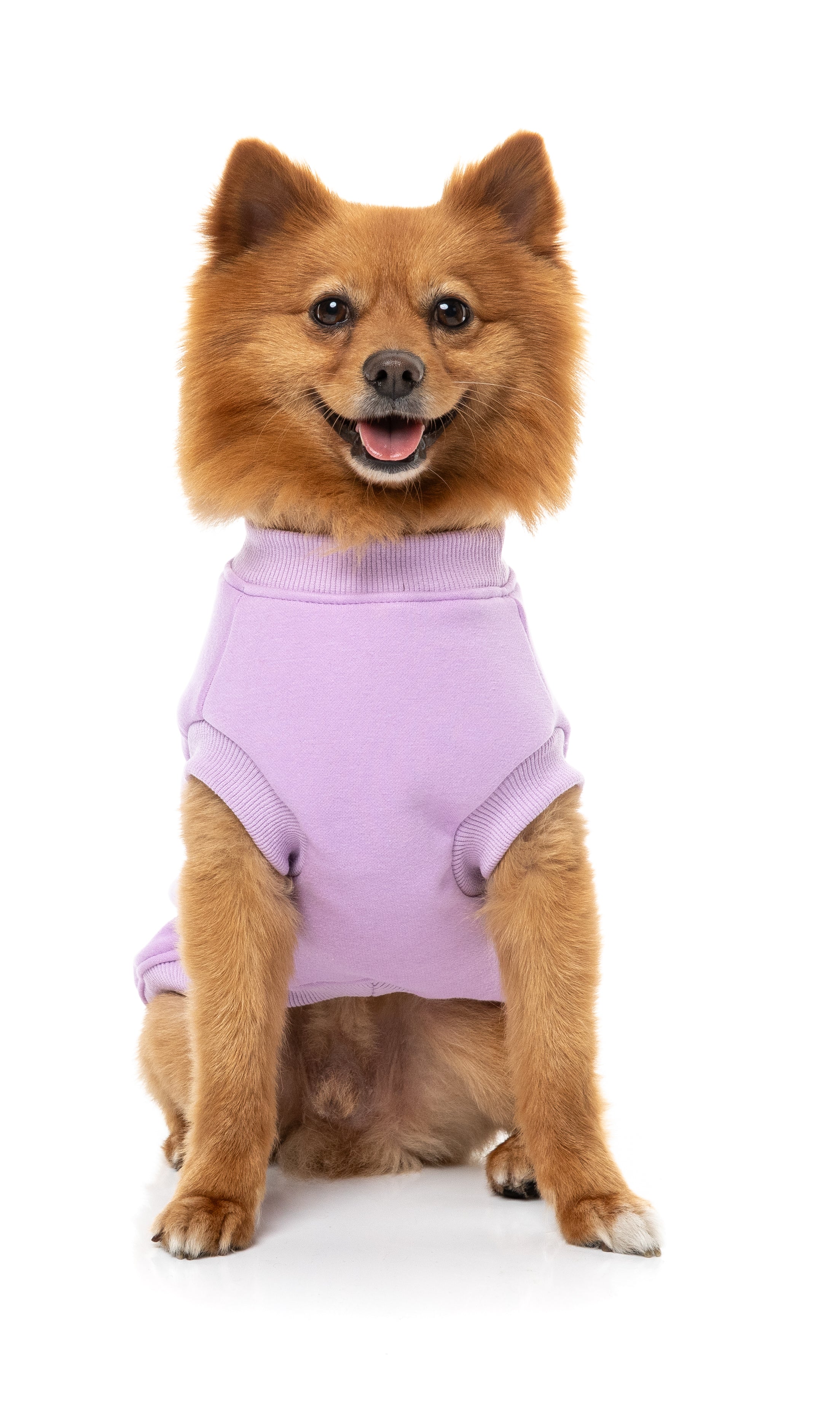 Allday Sweater 26 - Lilac
