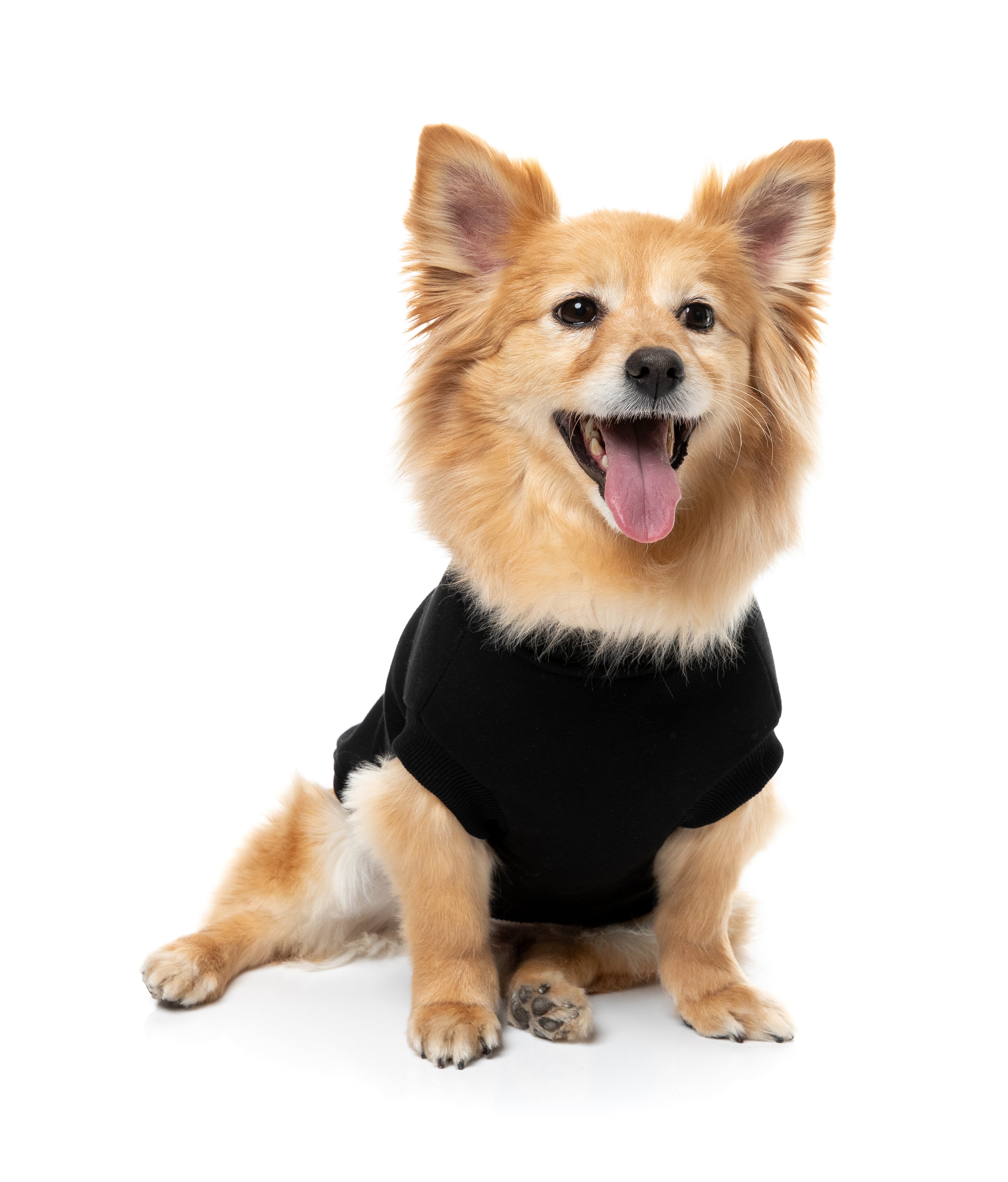 Allday Sweater 26 - Black