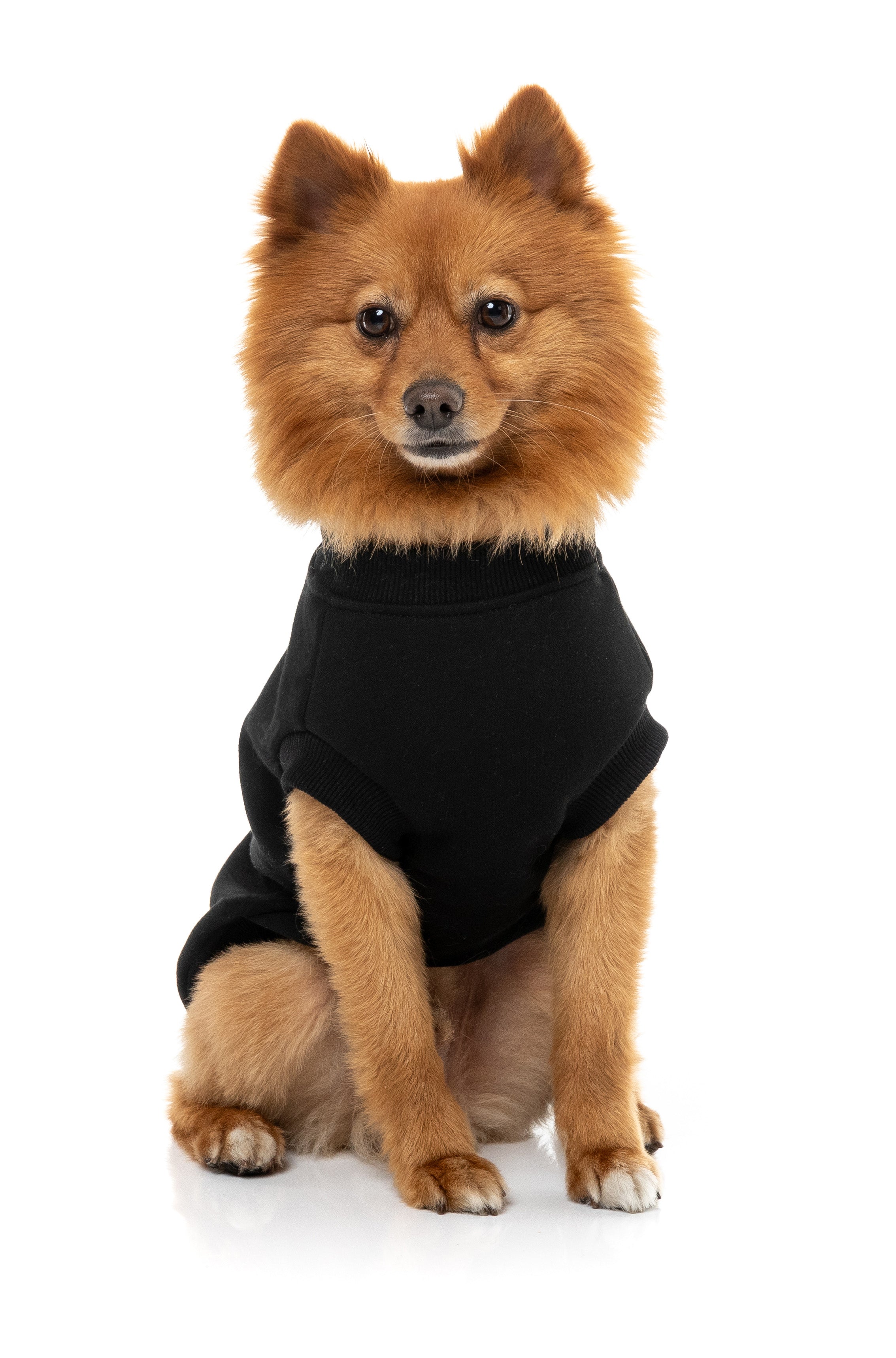 Allday Sweater 26 - Black