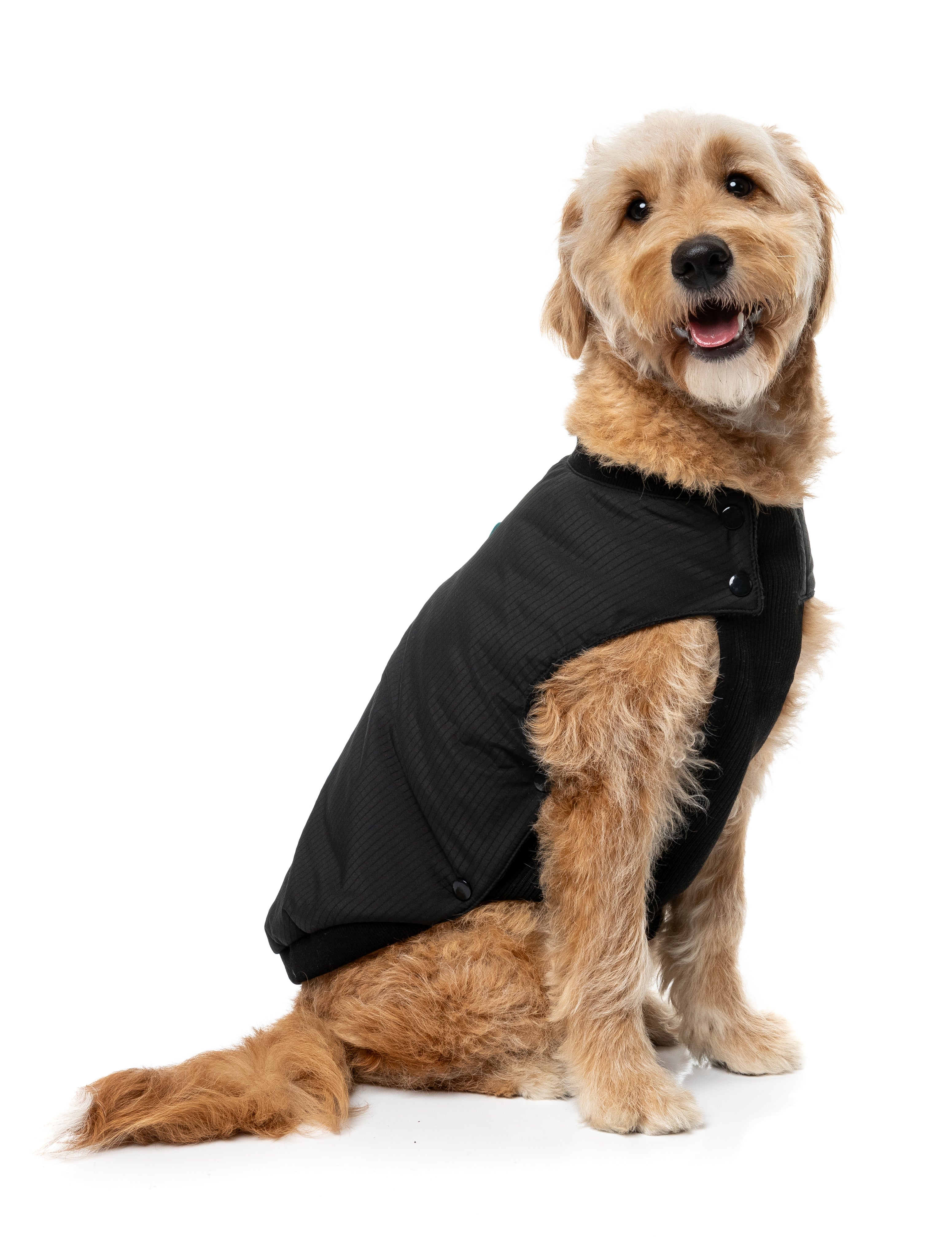 Bomber Jacket - Black