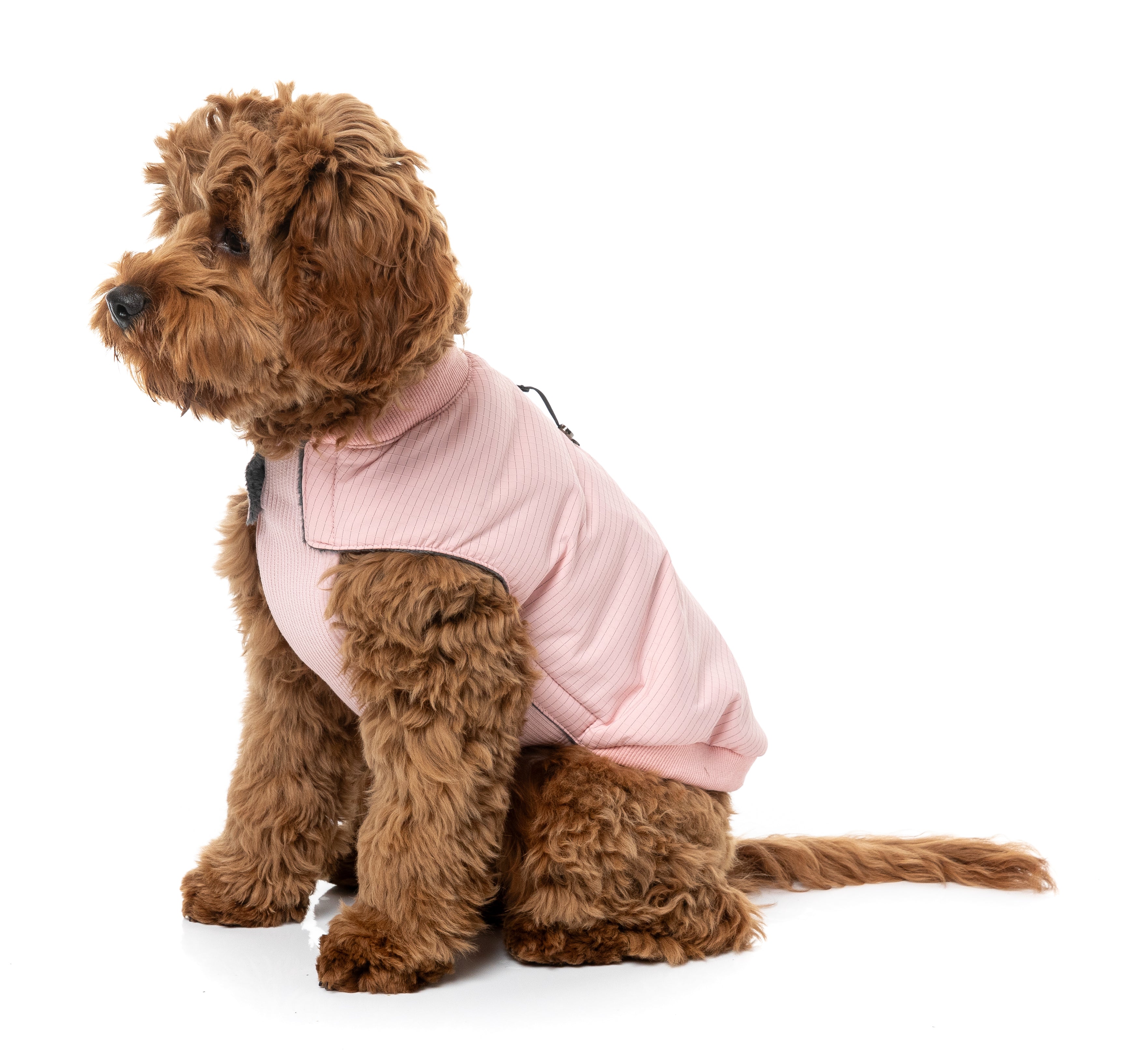 Bomber Jacket - Pink