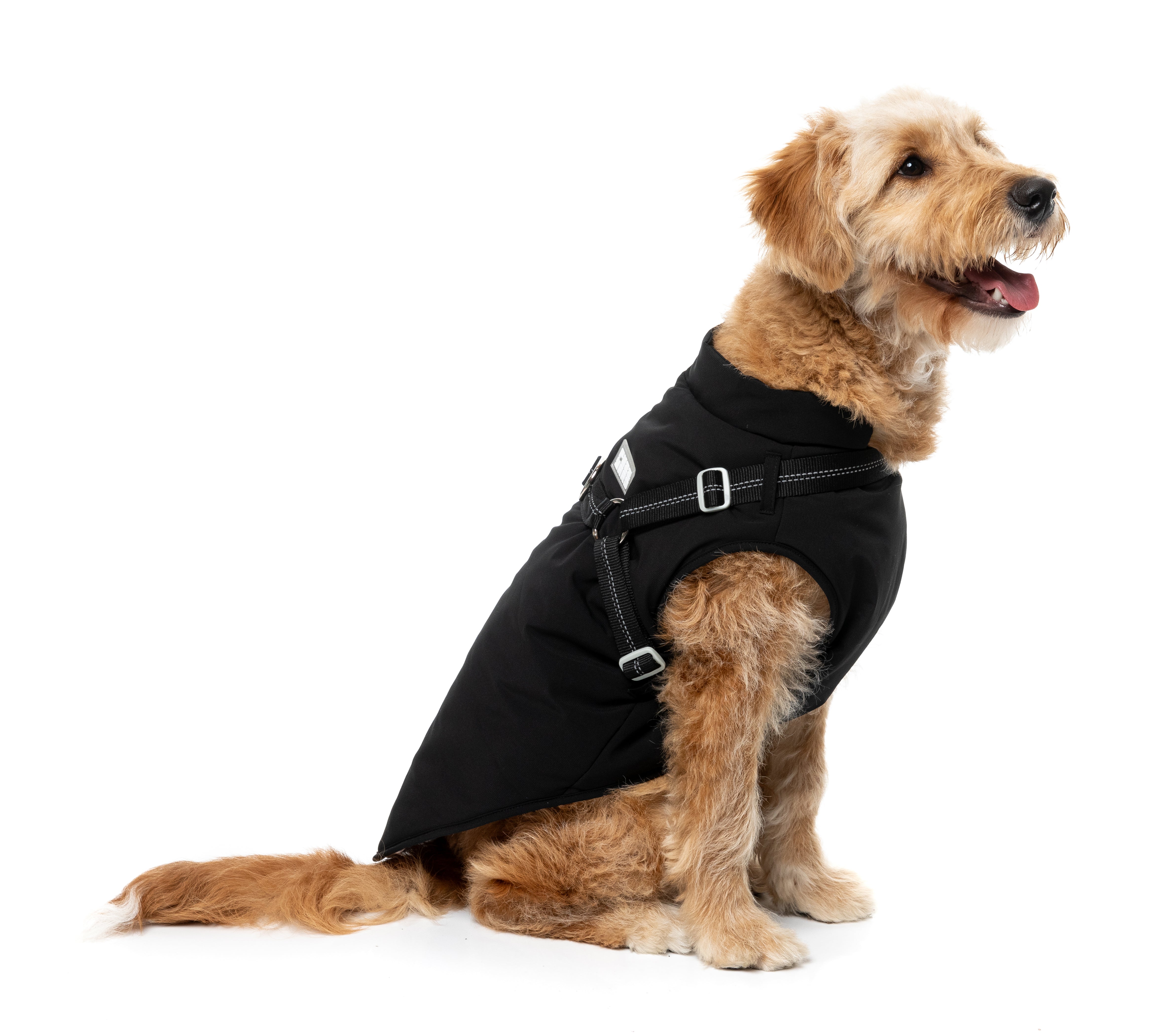 Horizon 26 Jacket - Black