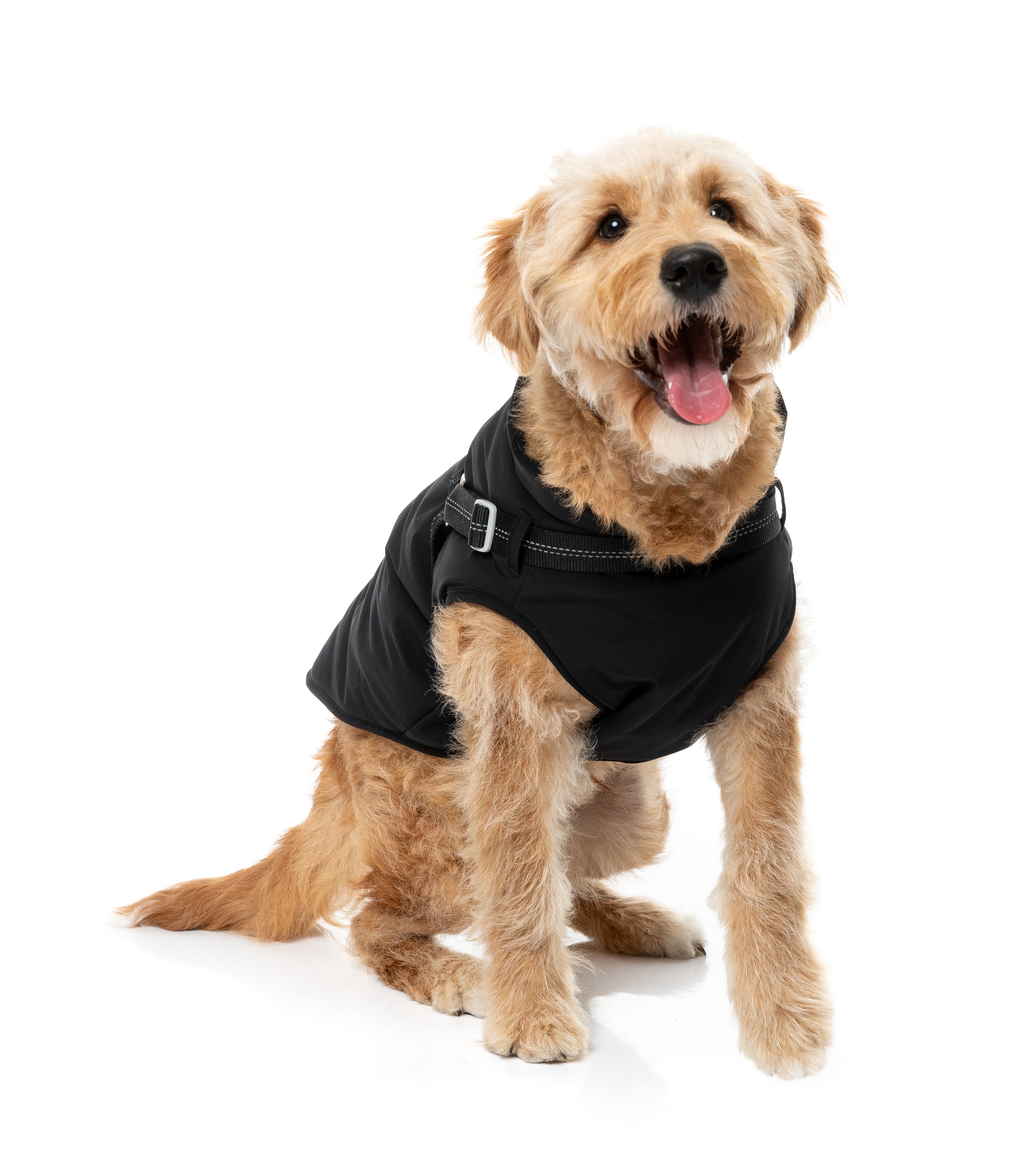 Horizon 26 Jacket - Black