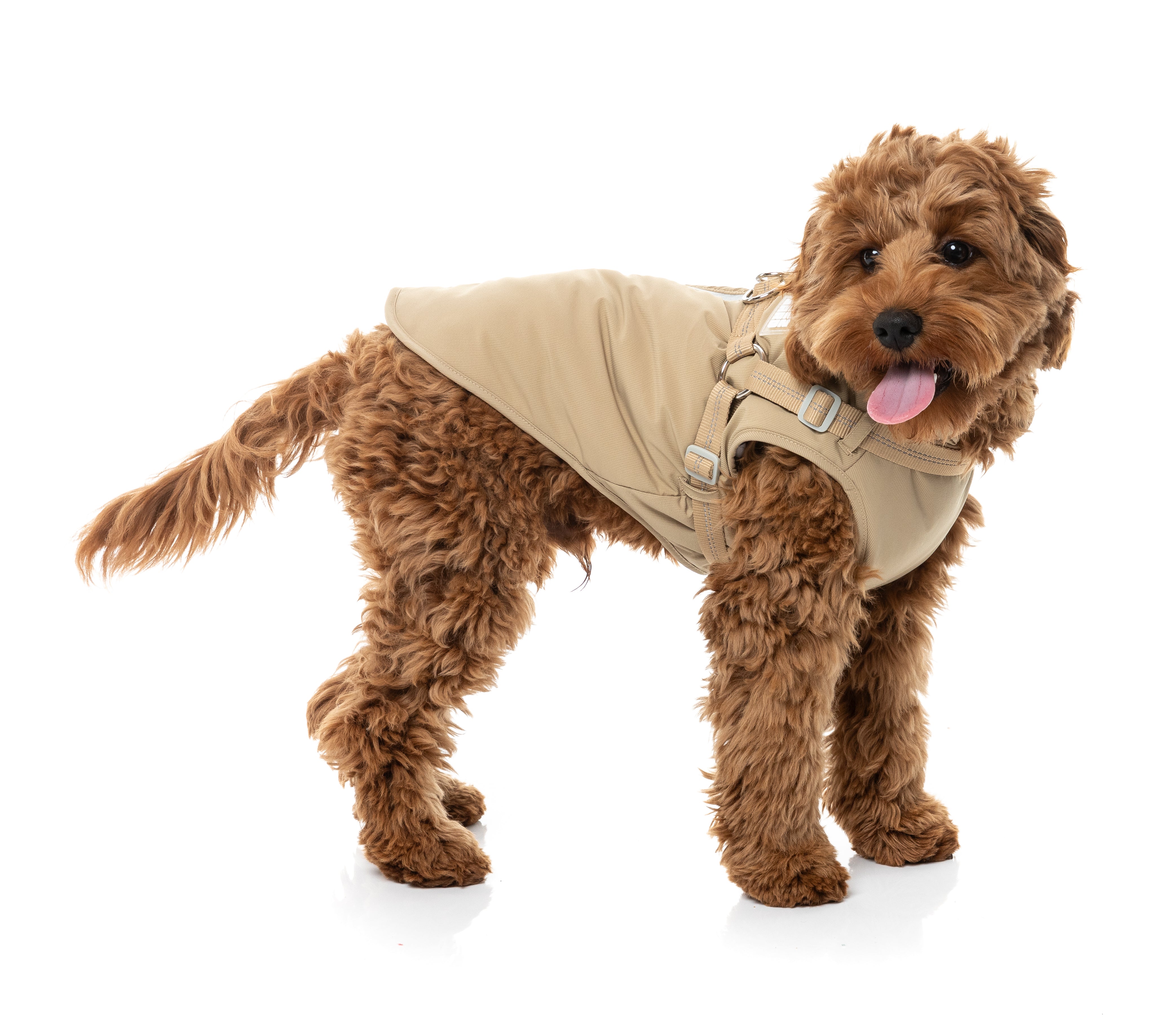 Horizon 26 Jacket - Taupe