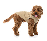 Horizon 26 Jacket - Taupe