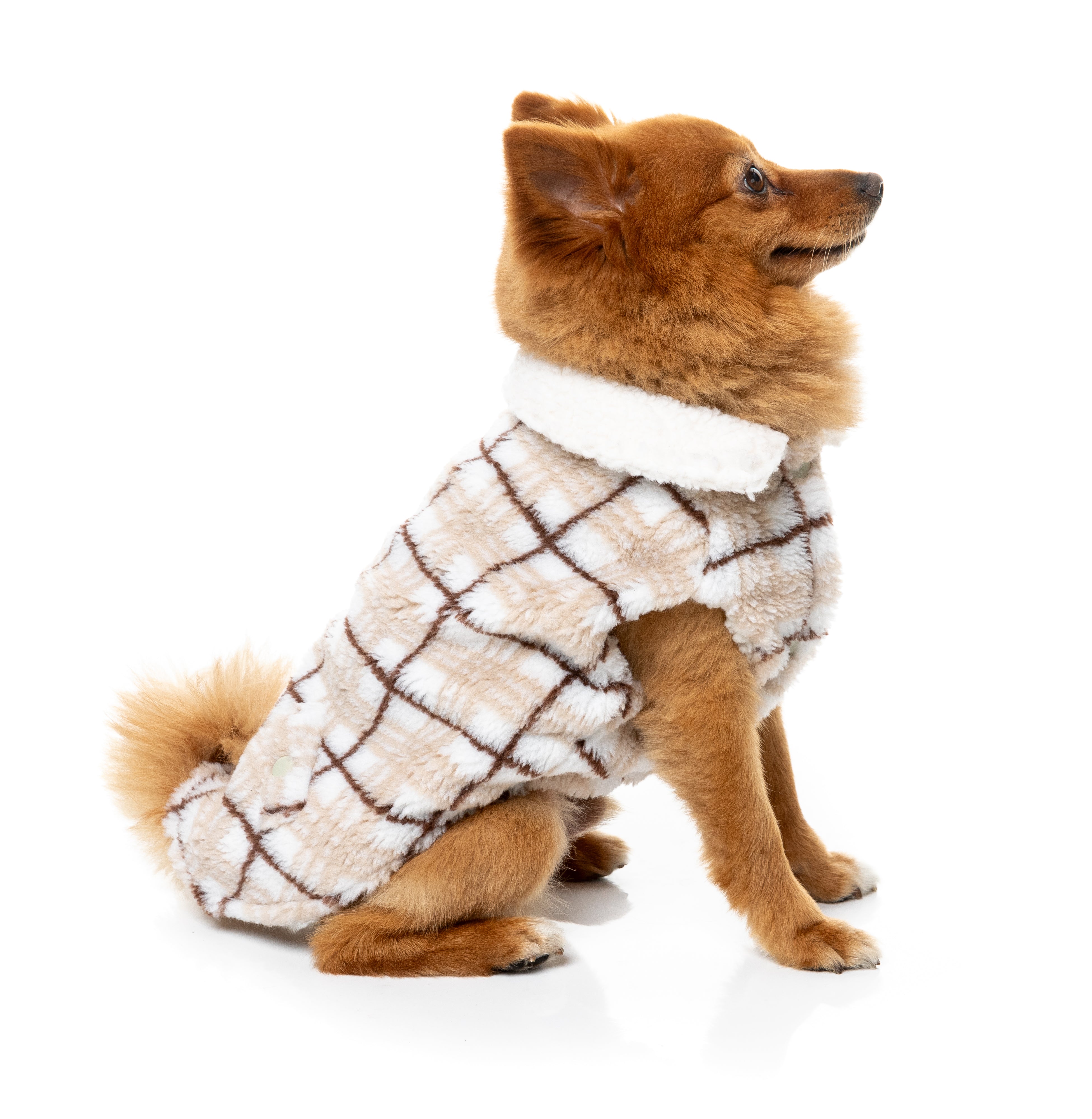 Lumberjack 26 Jacket - Beige