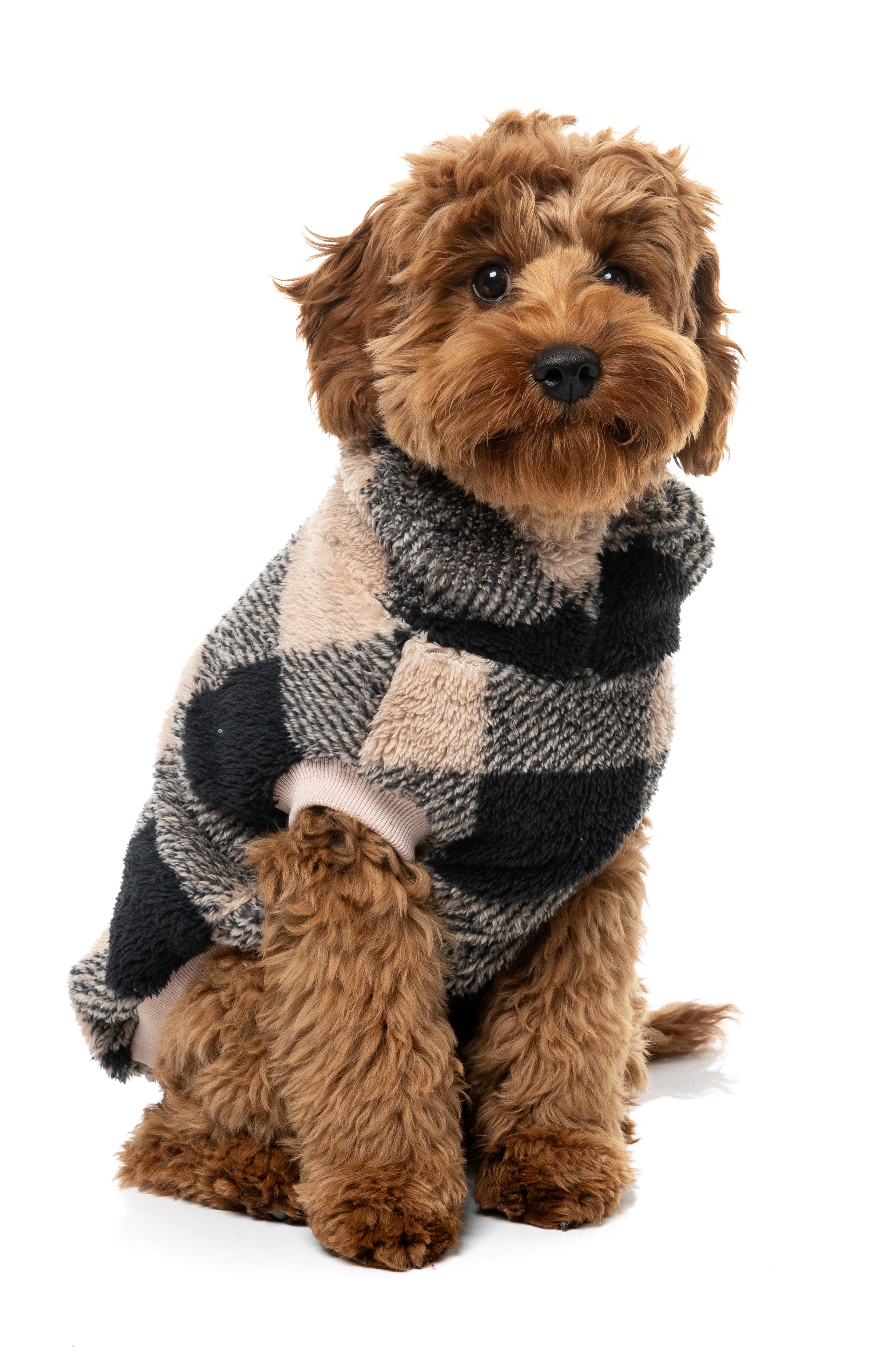 Checkered Teddy Sweater - Black/Beige