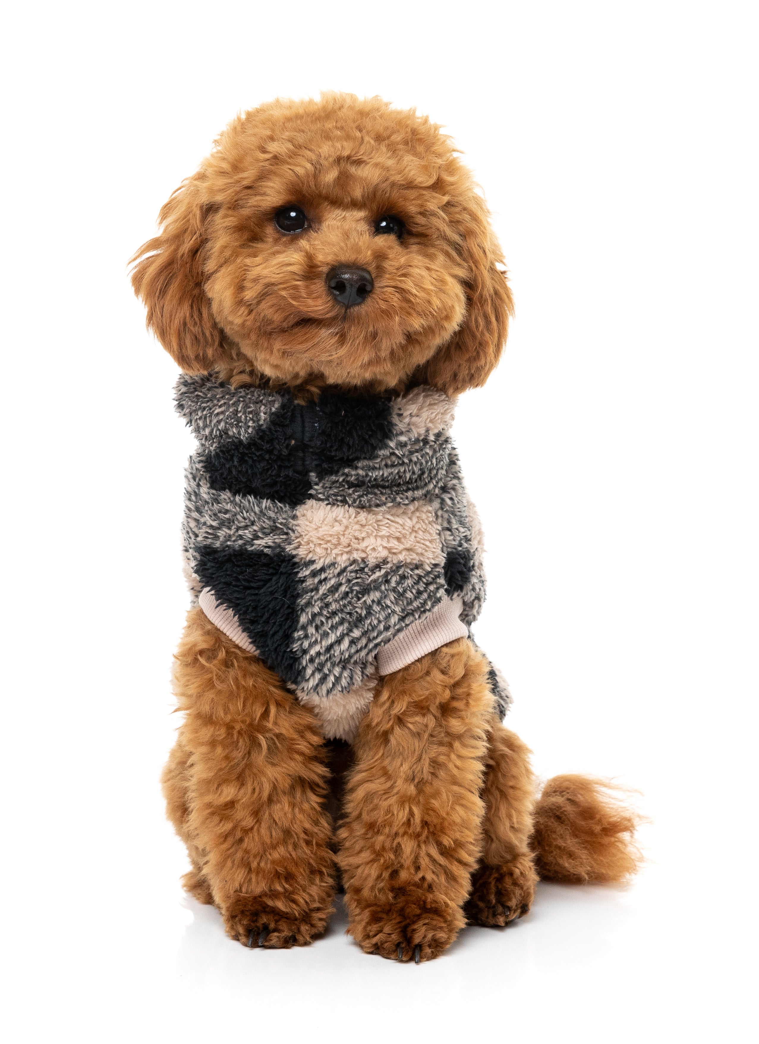 Checkered Teddy Sweater - Black/Beige