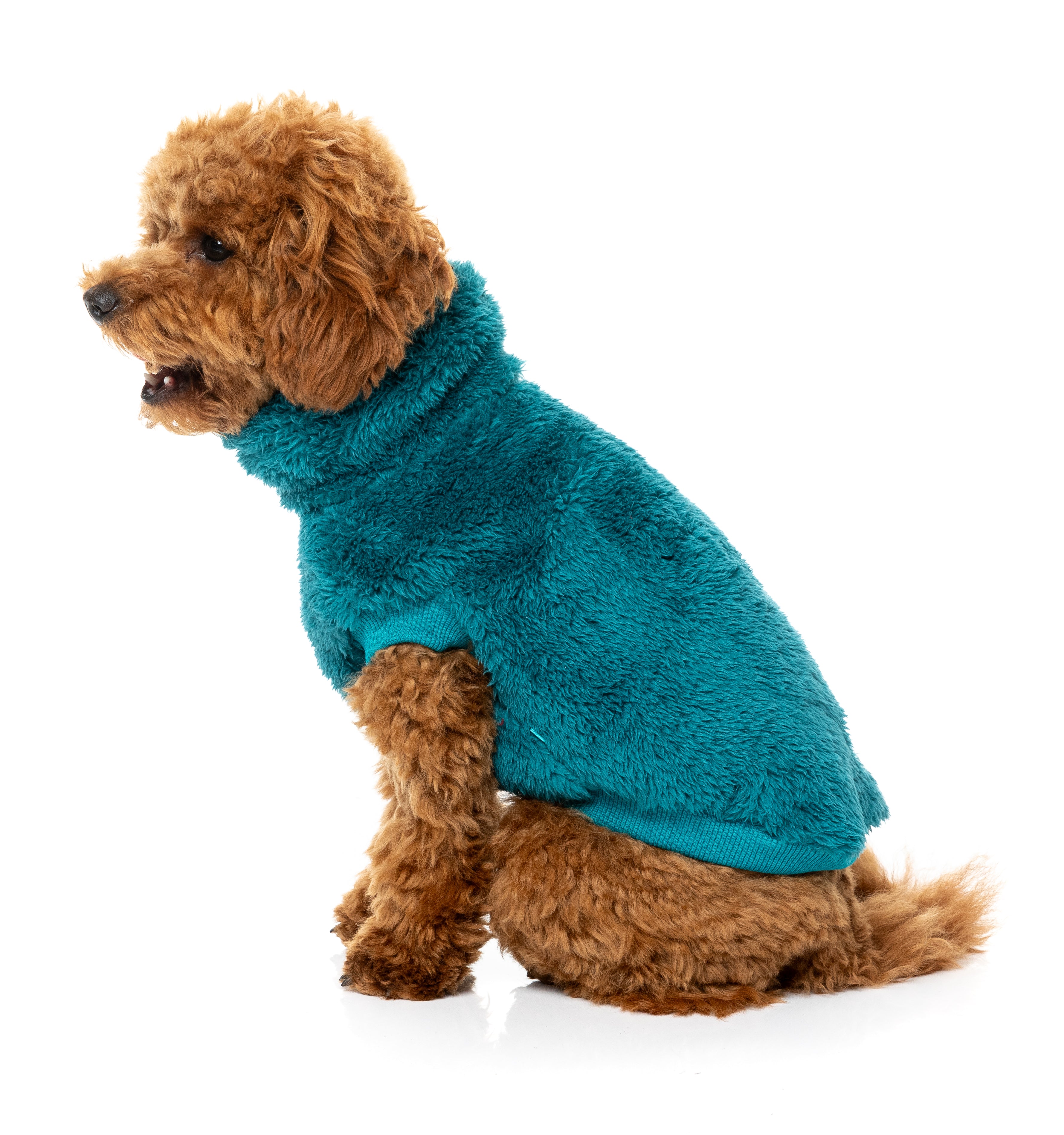 Turtle Teddy Sweater 26 - Deep Teal