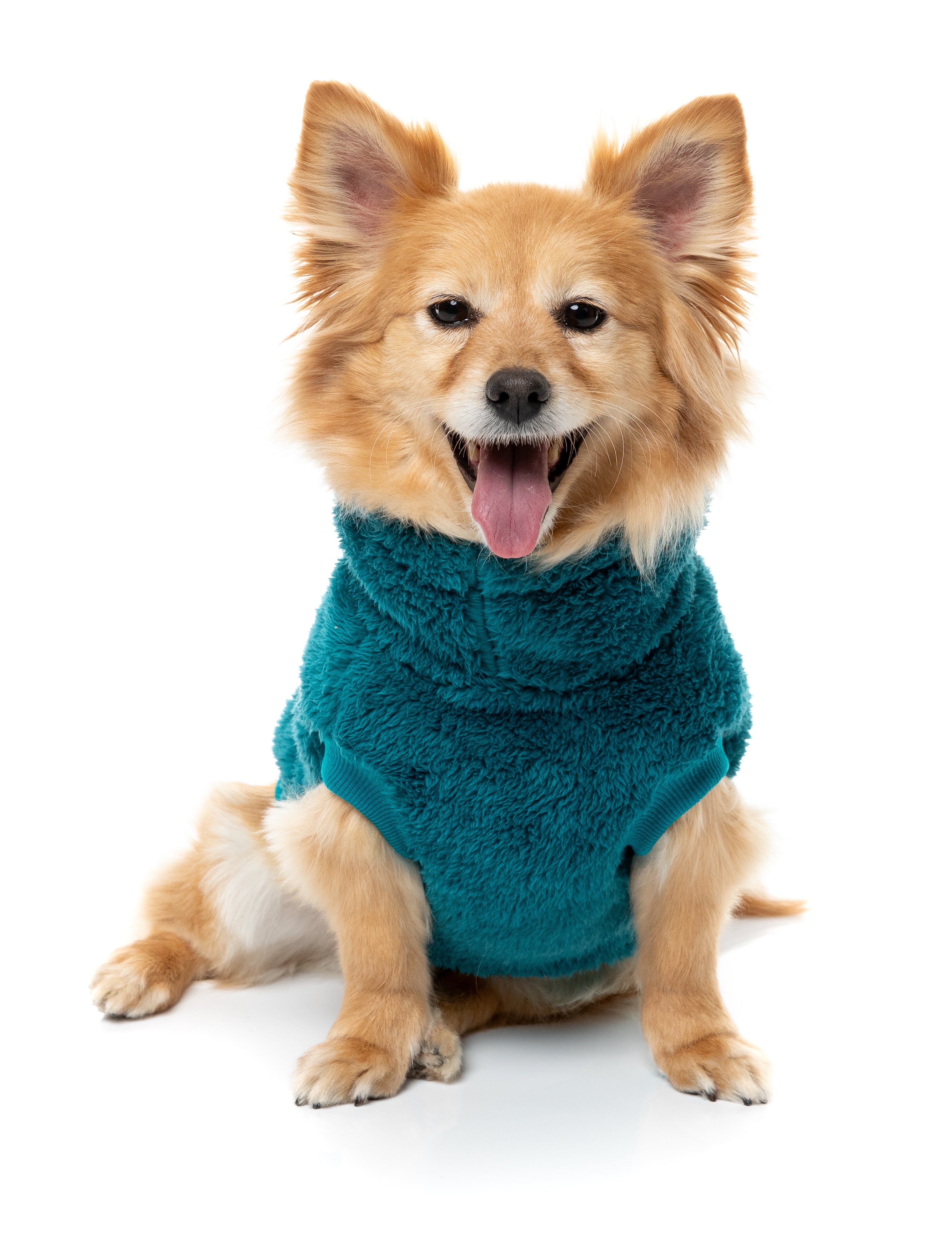 Turtle Teddy Sweater 26 - Deep Teal
