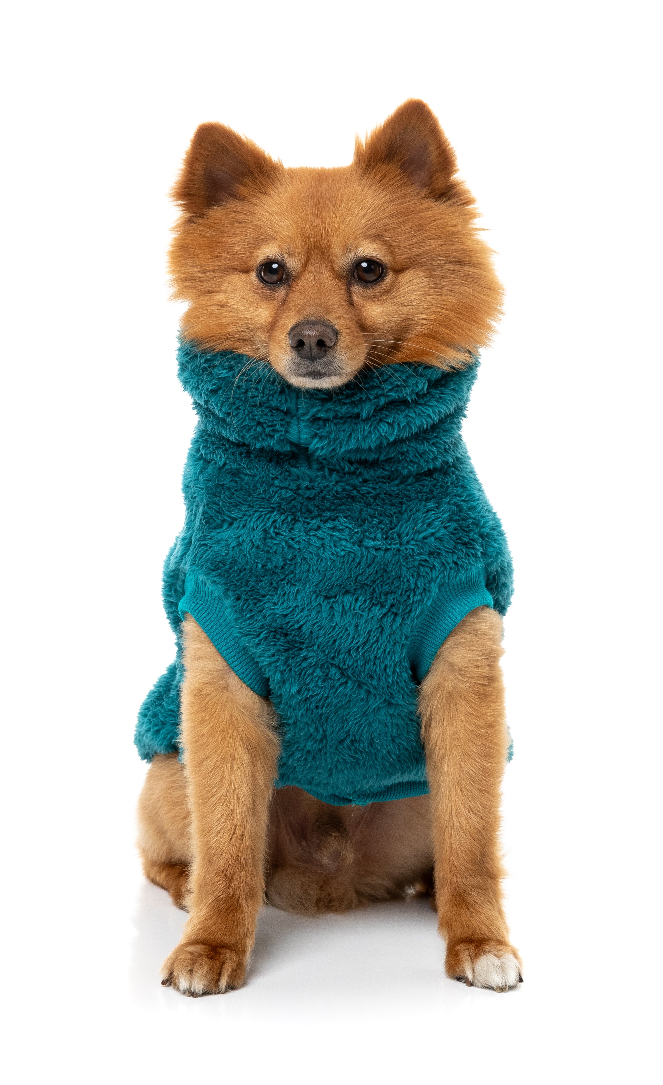Turtle Teddy Sweater 26 - Deep Teal