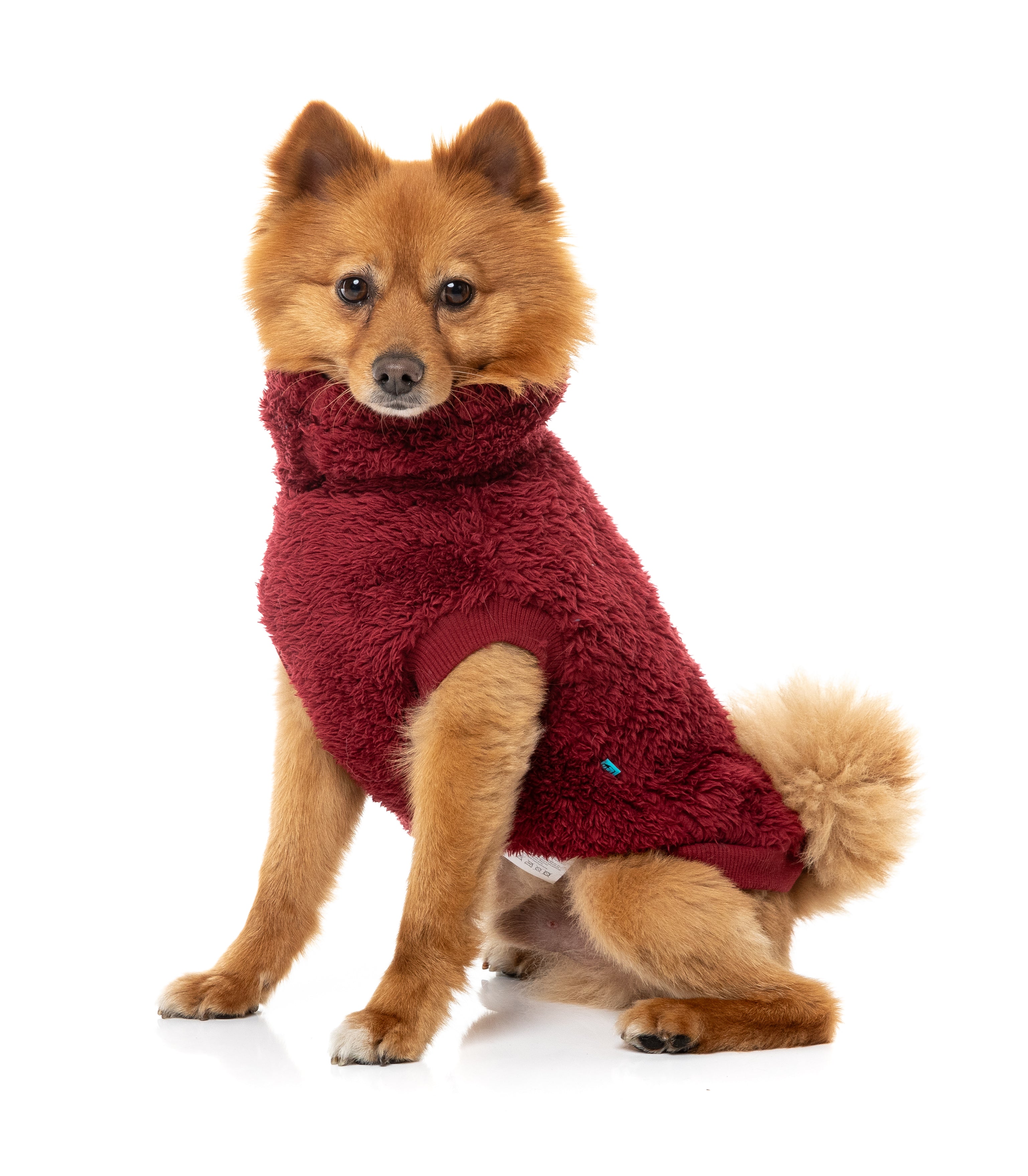 Turtle Teddy Sweater 26 - Maroon