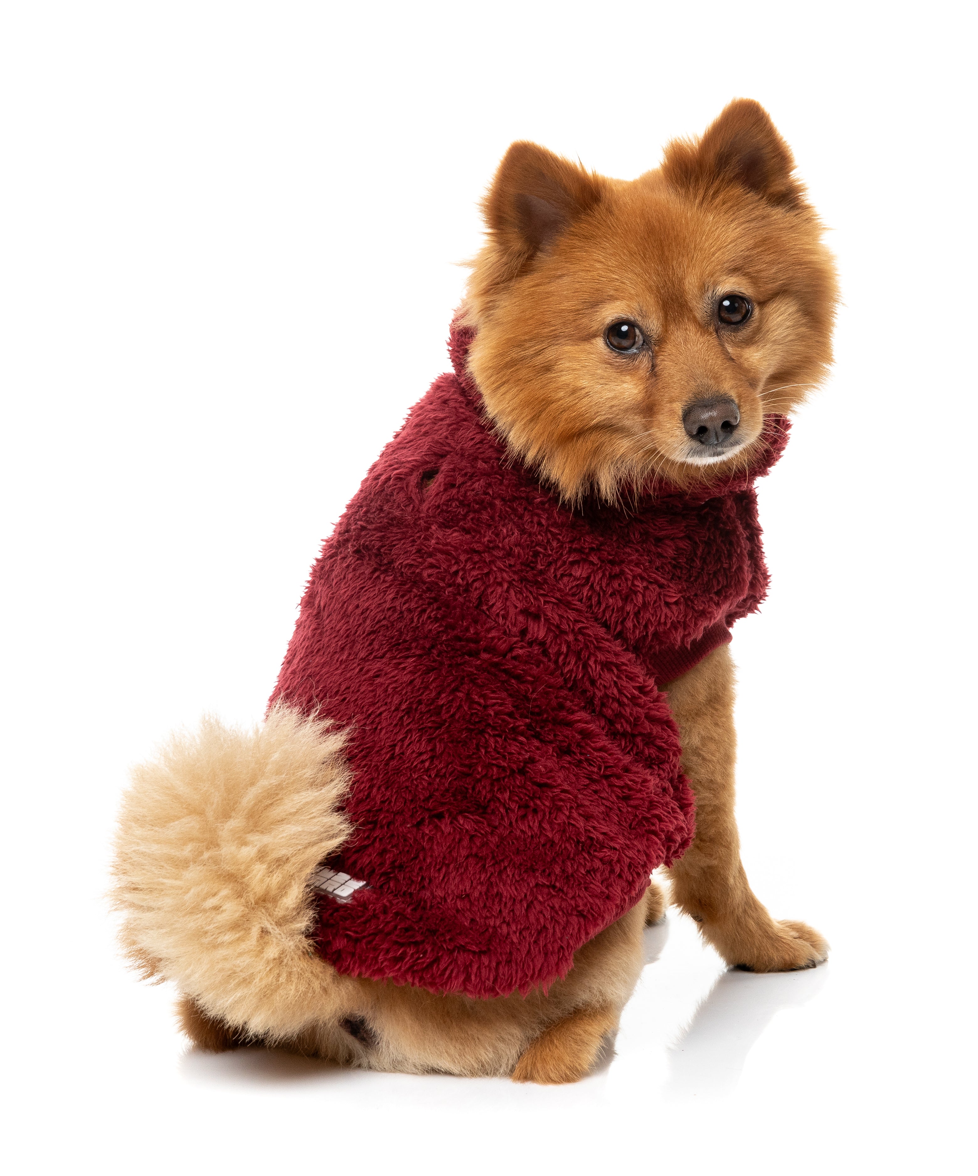Turtle Teddy Sweater 26 - Maroon