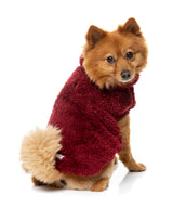 Turtle Teddy Sweater 26 - Maroon