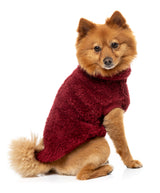 Turtle Teddy Sweater 26 - Maroon