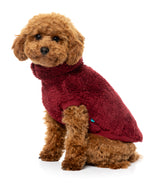 Turtle Teddy Sweater 26 - Maroon