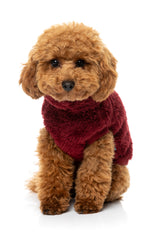 Turtle Teddy Sweater 26 - Maroon