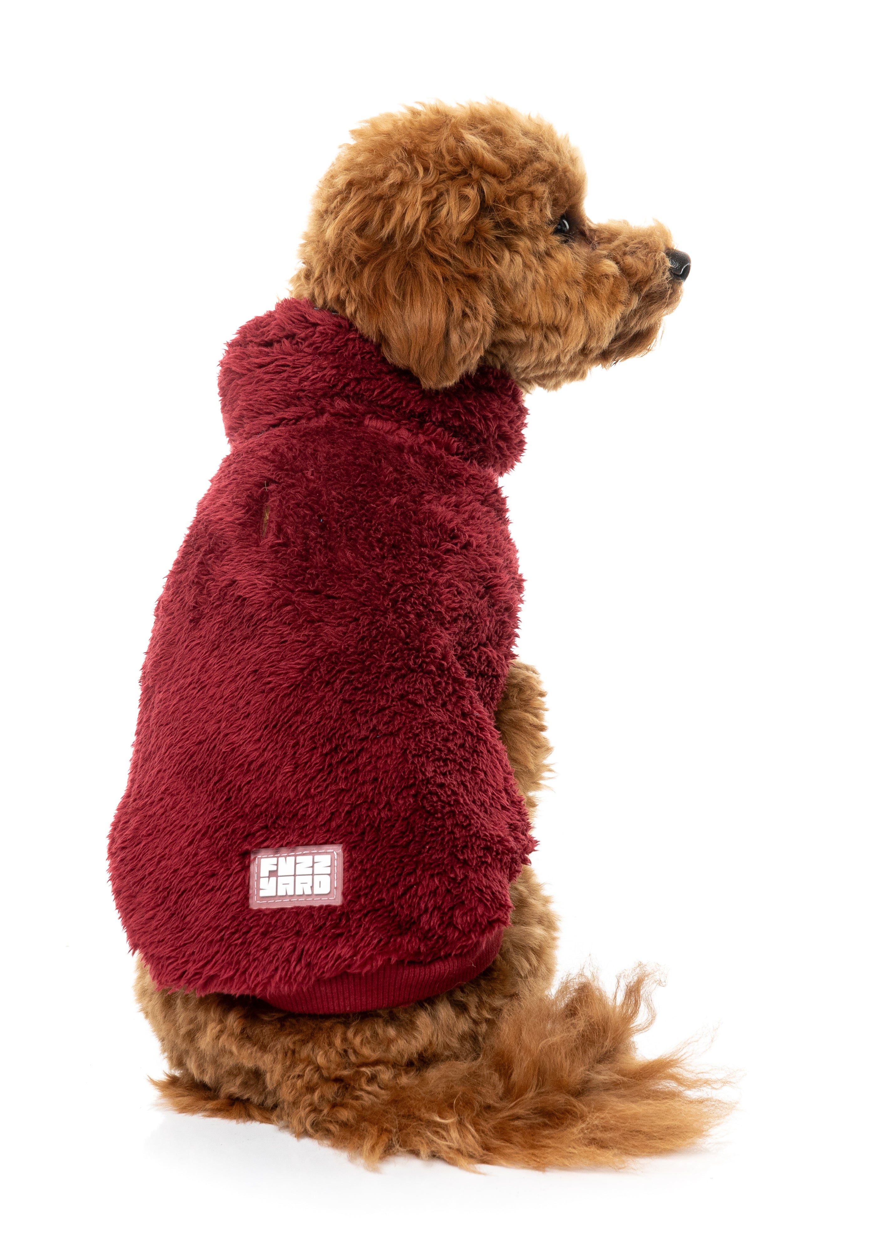Turtle Teddy Sweater 26 - Maroon