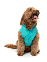 Evo Raincoat - Teal