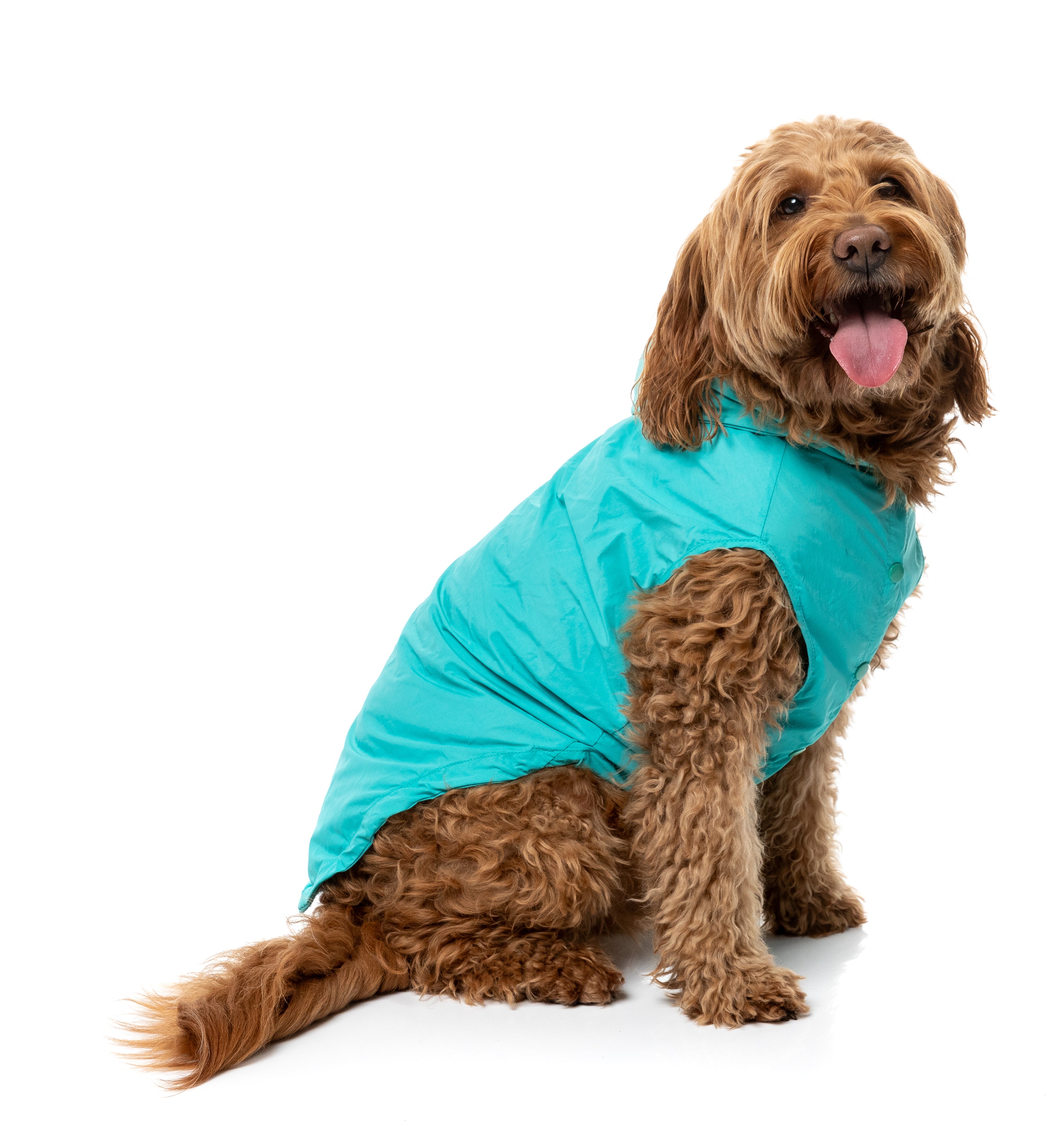 Evo Raincoat - Teal