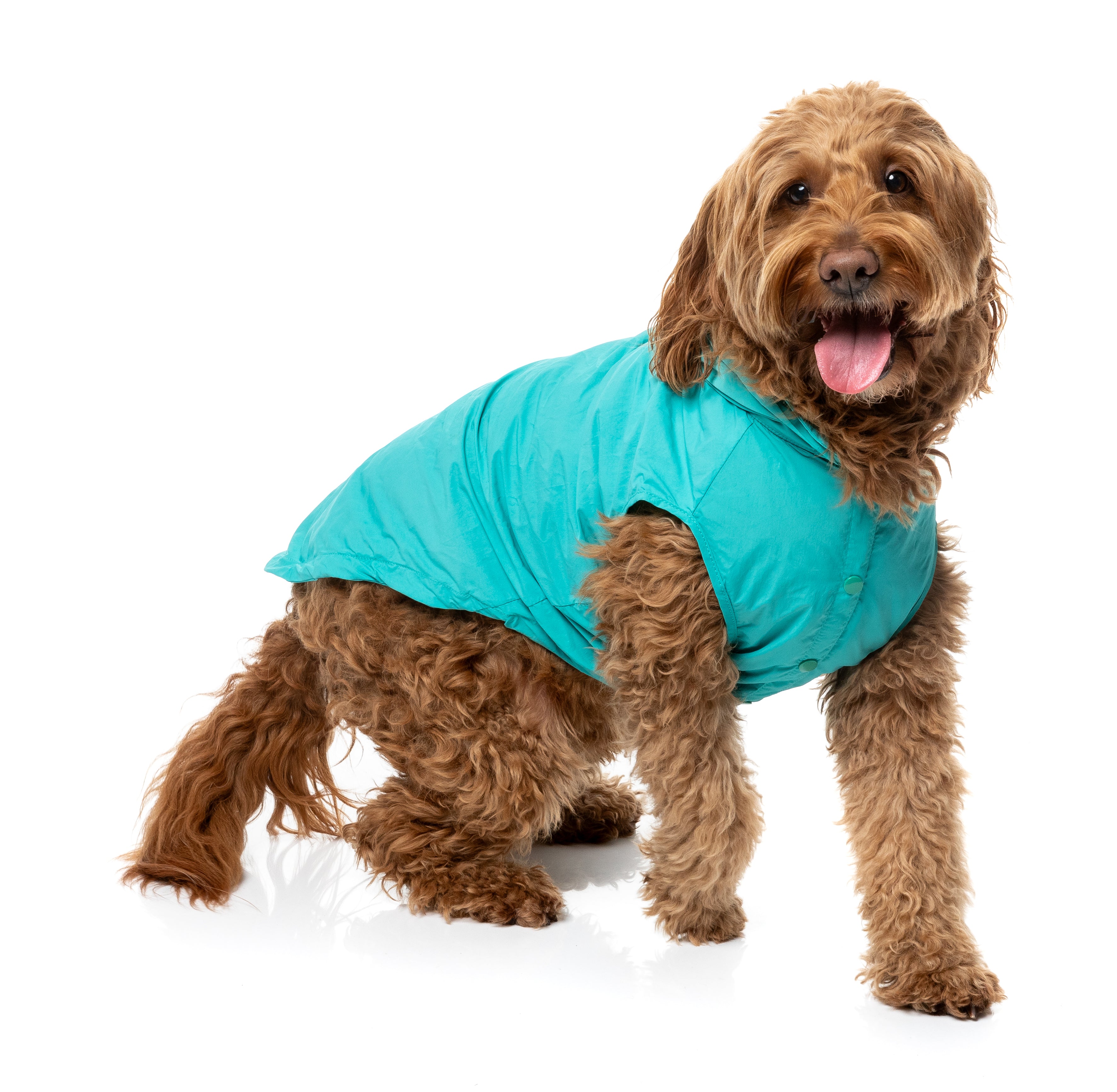 Evo Raincoat - Teal