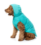 Evo Raincoat - Teal