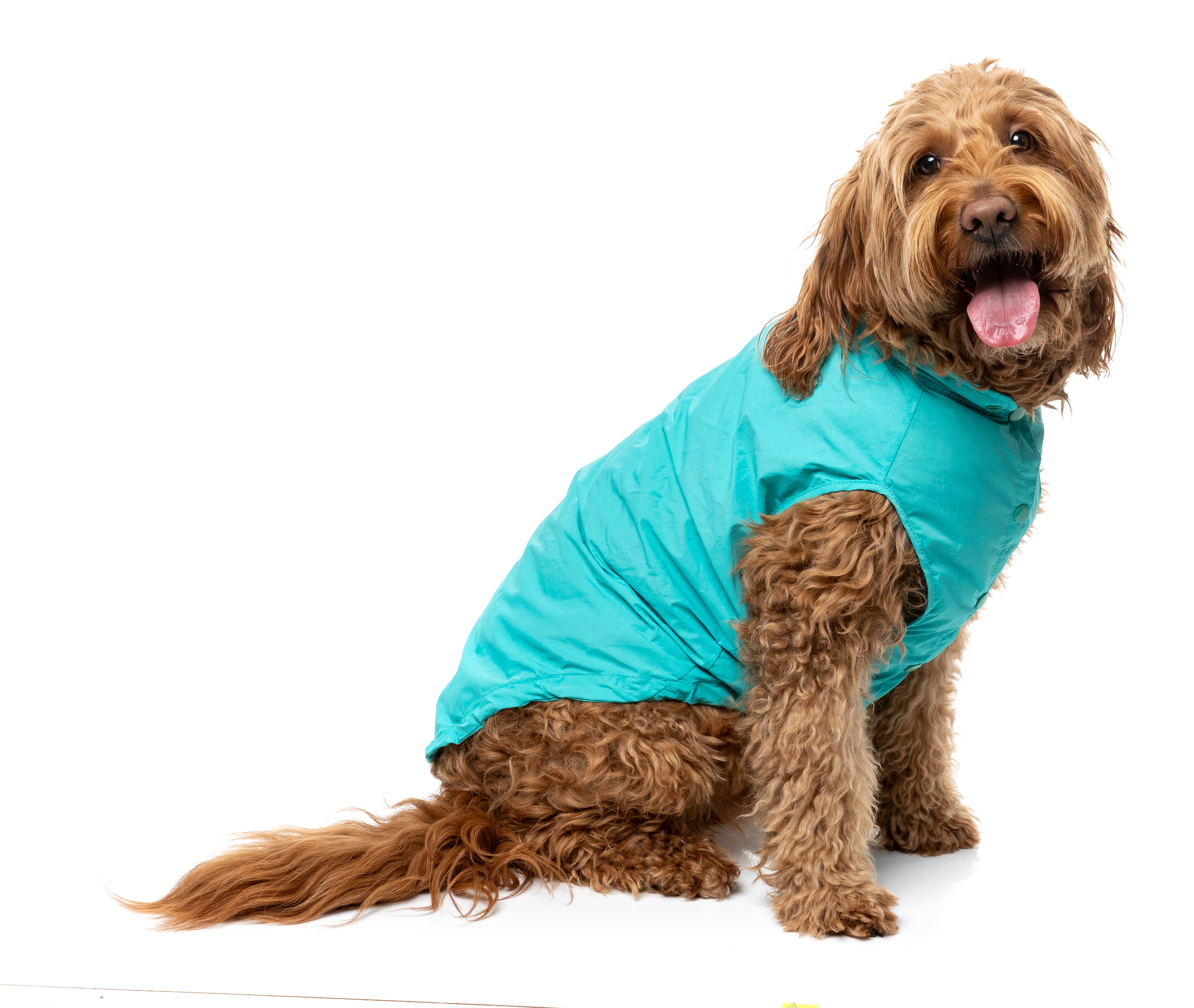 Evo Raincoat - Teal
