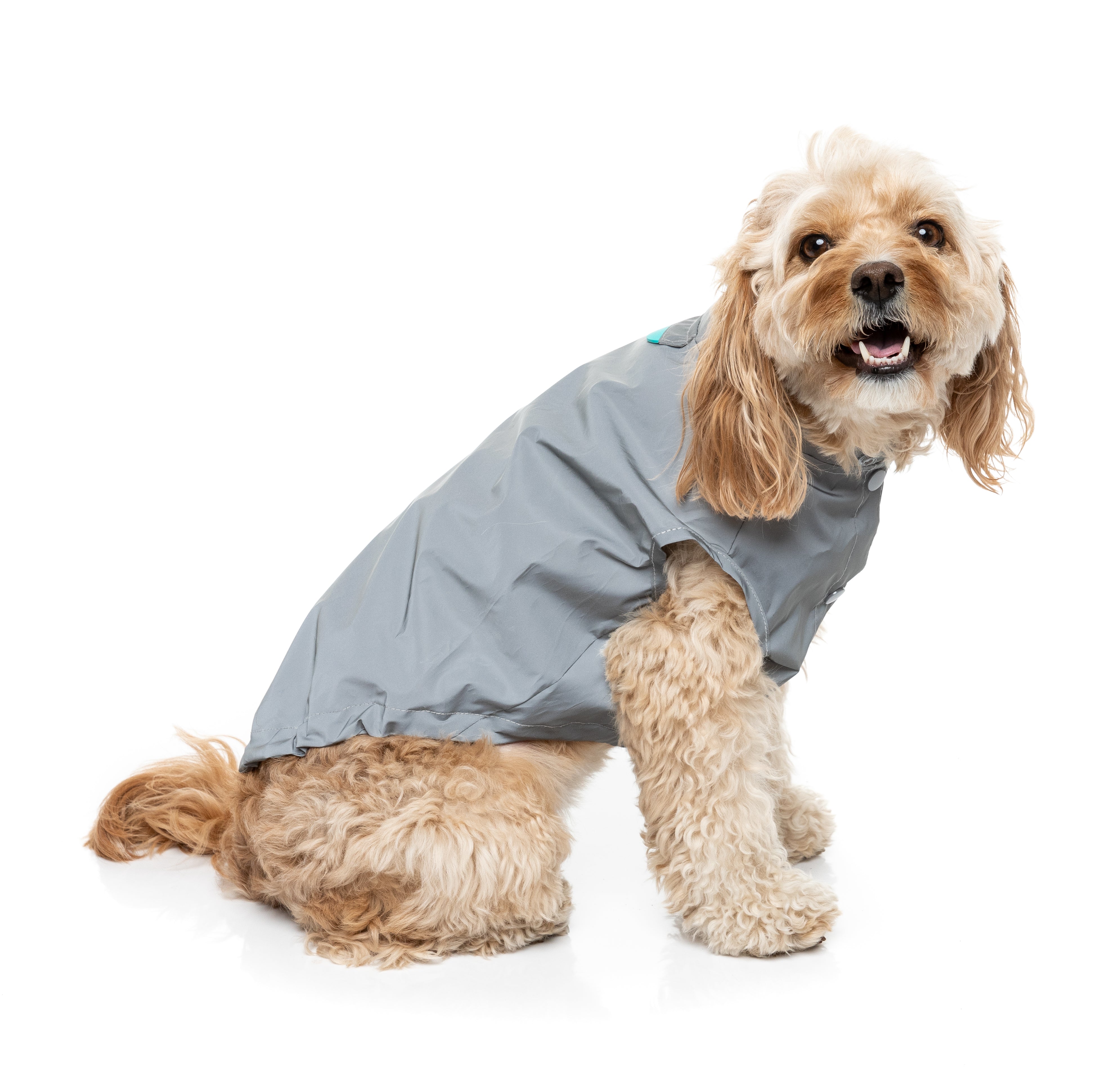 Evo Raincoat - Reflective