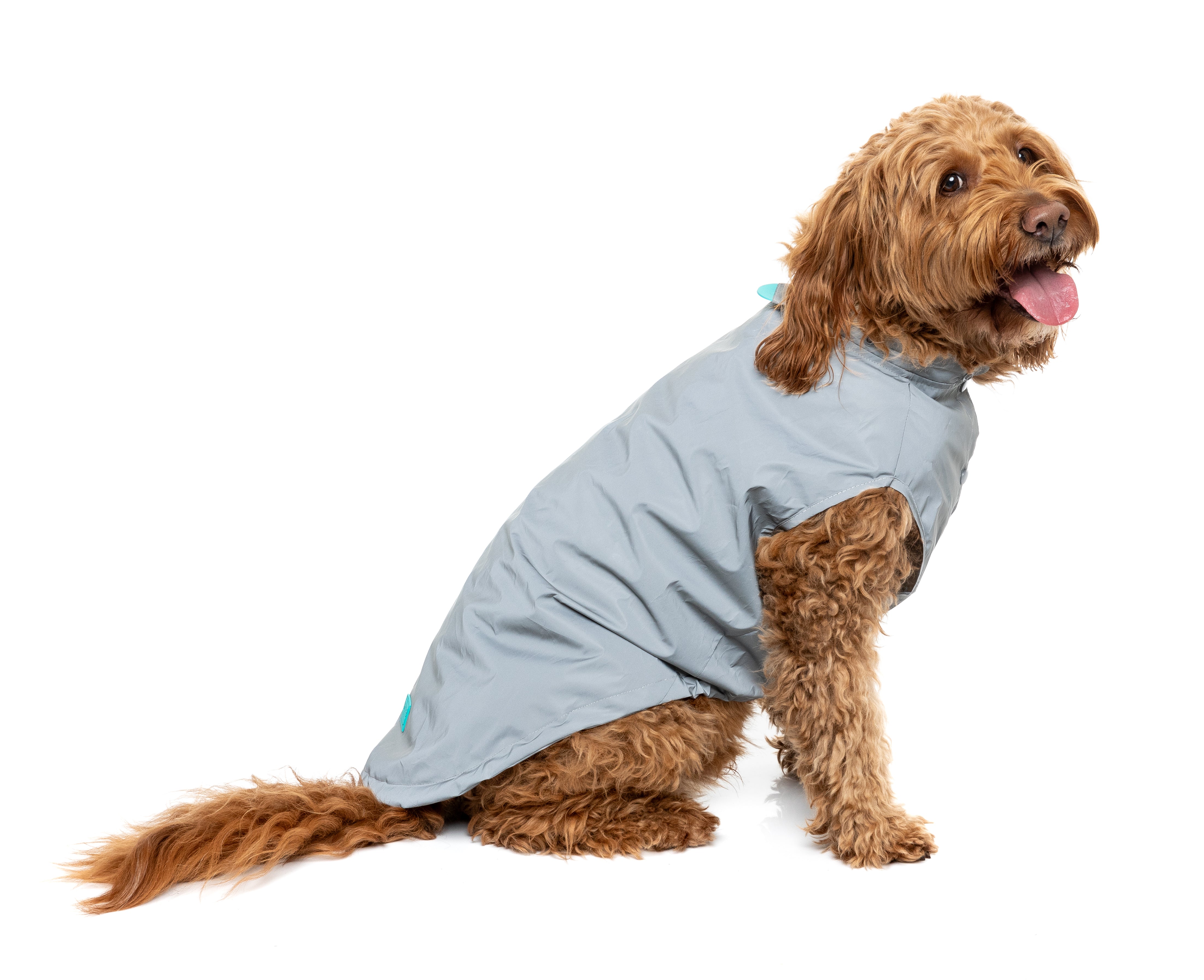Evo Raincoat - Reflective