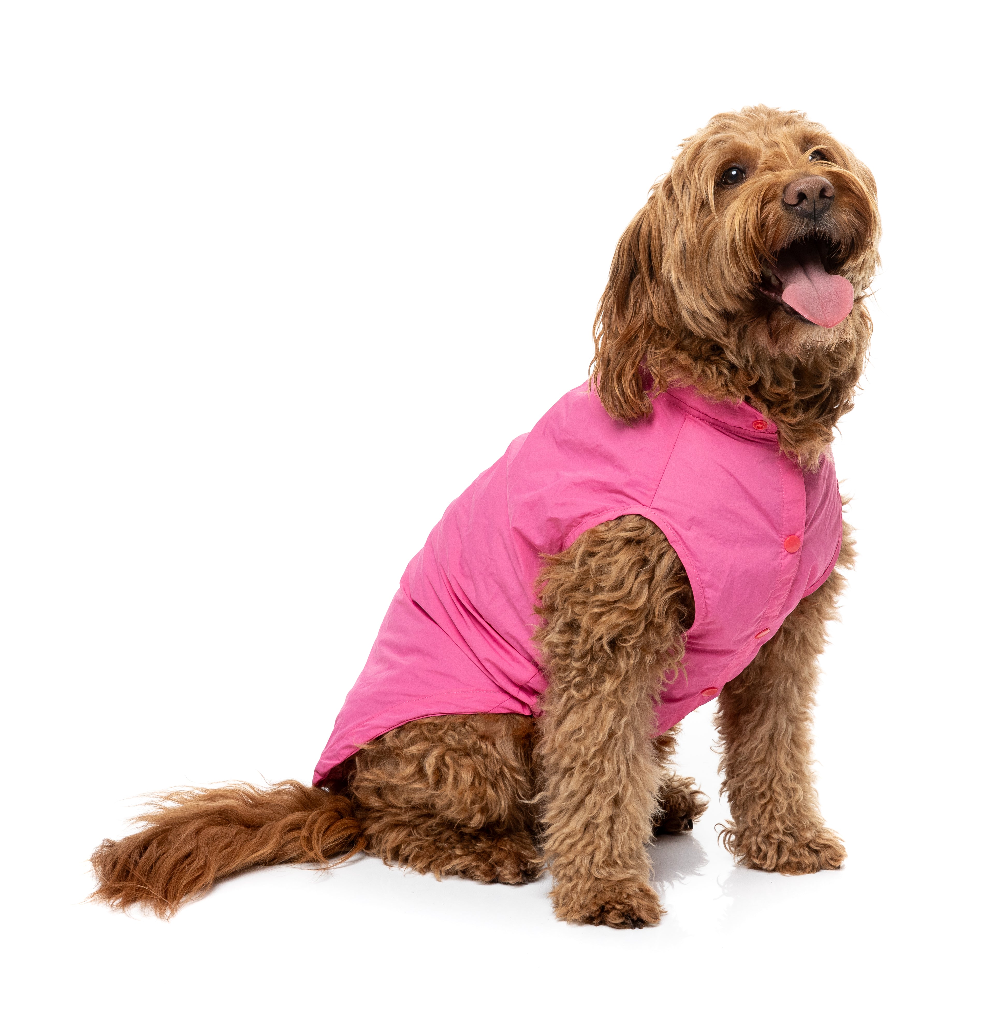 Evo Raincoat - Pink