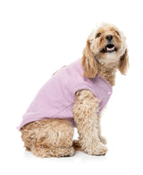 Fuzzbear Knit - Lilac