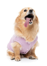 Fuzzbear Knit - Lilac