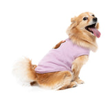 Fuzzbear Knit - Lilac