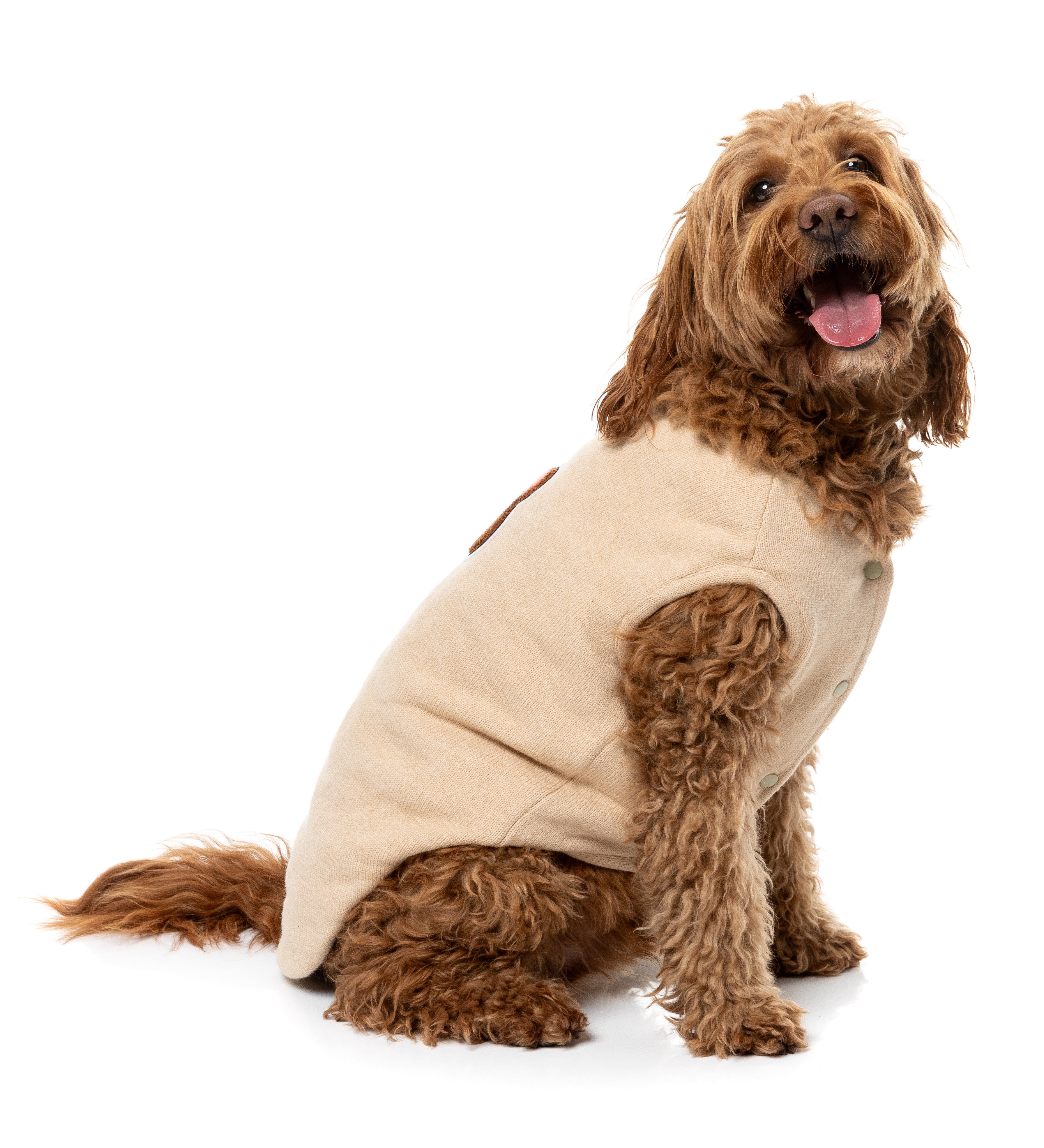 Fuzzbear Knit - Beige
