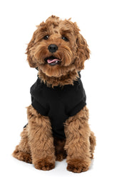 Dog Hoodie - Easily Distracted By Food