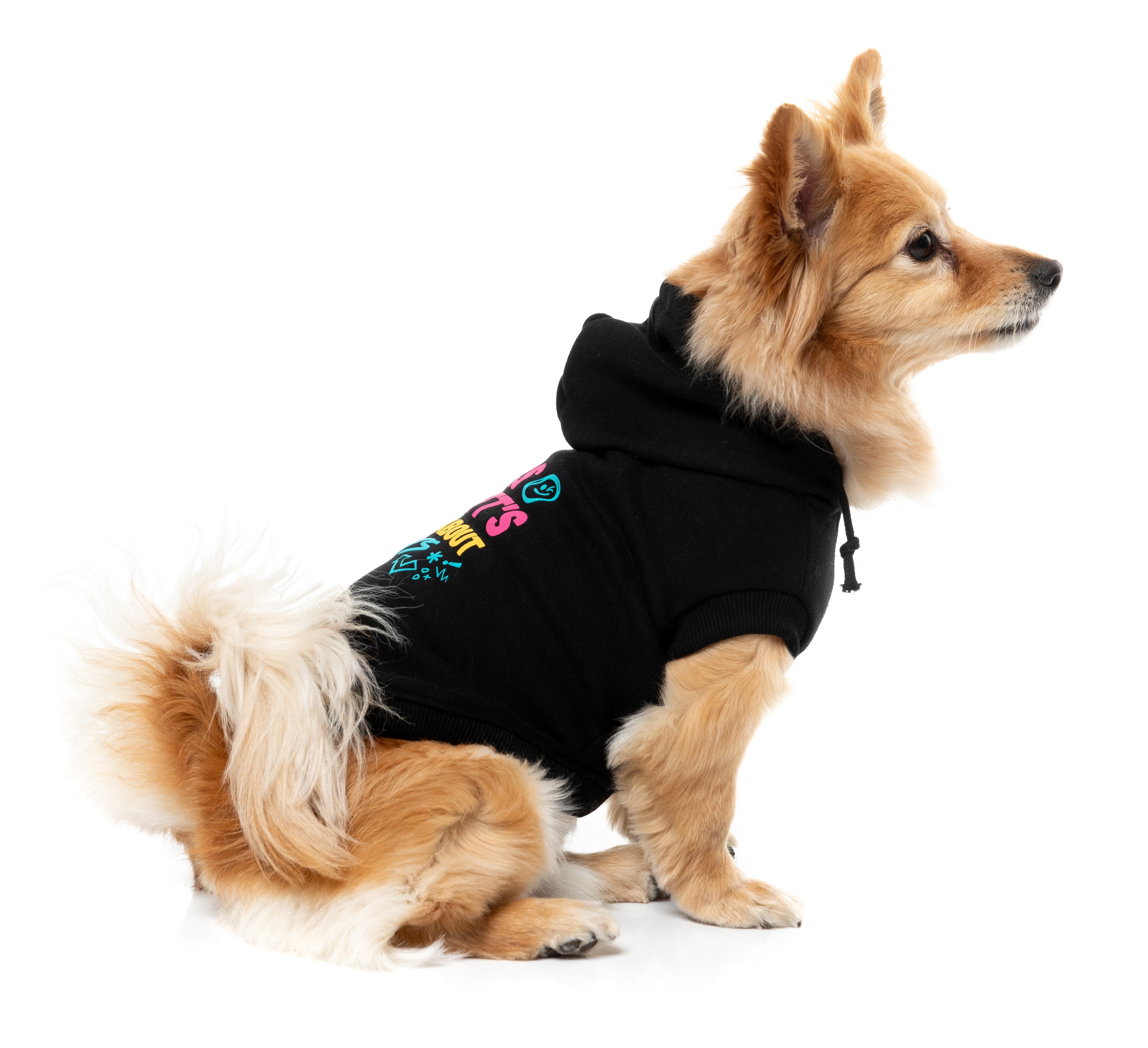 Dog Hoodie - All About Butts