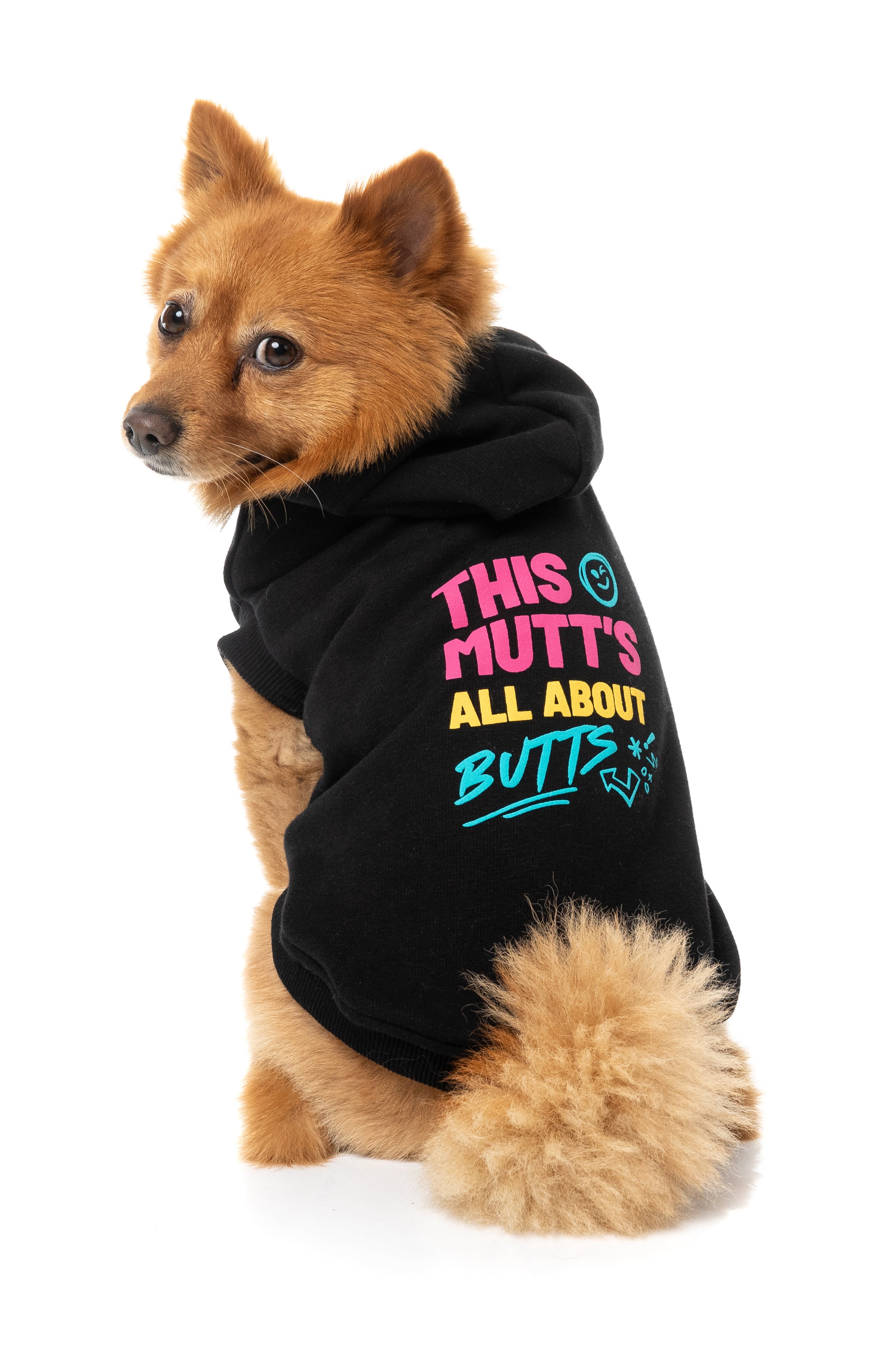 Dog Hoodie - All About Butts