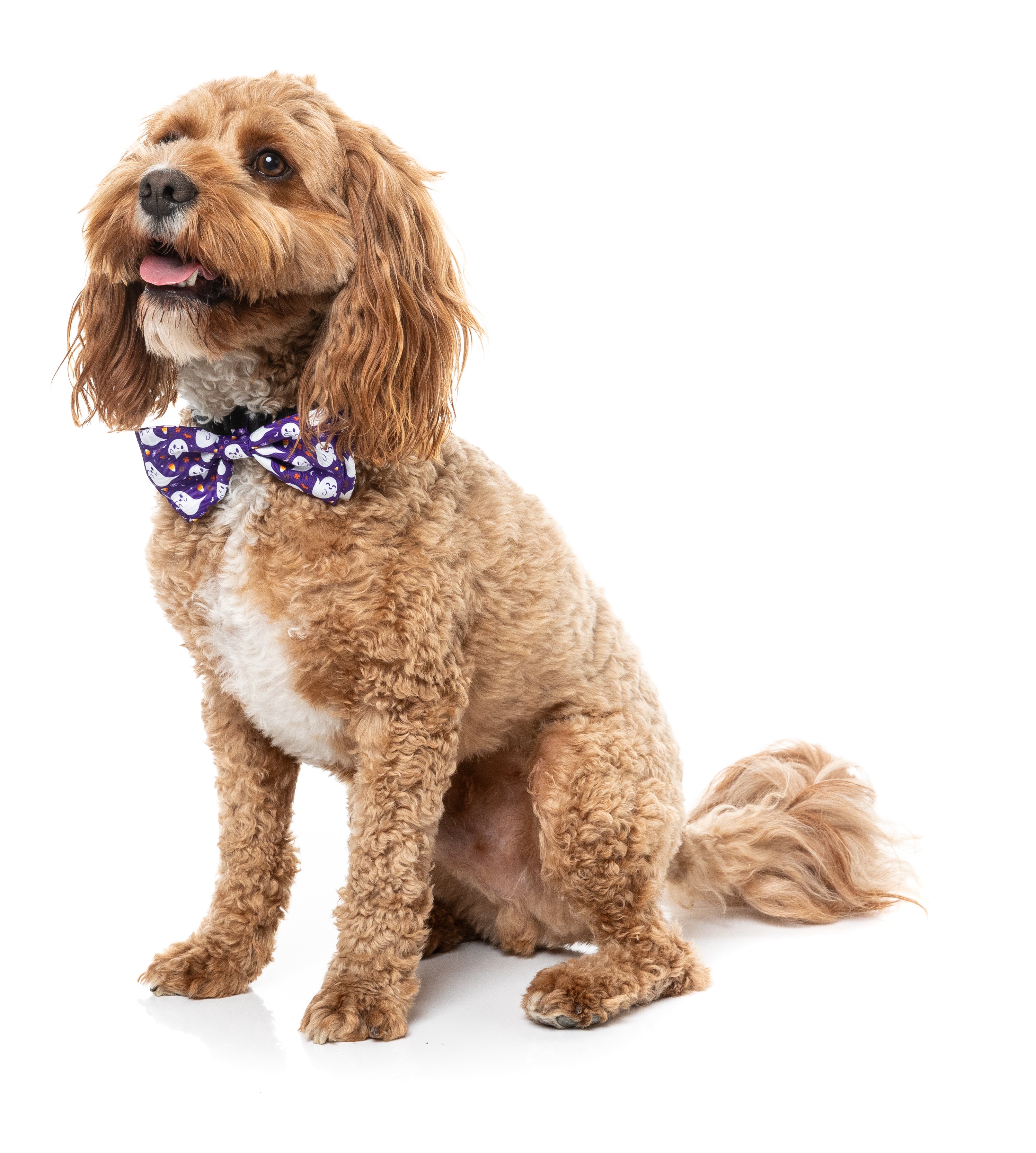 Spooky Sprits Bowtie